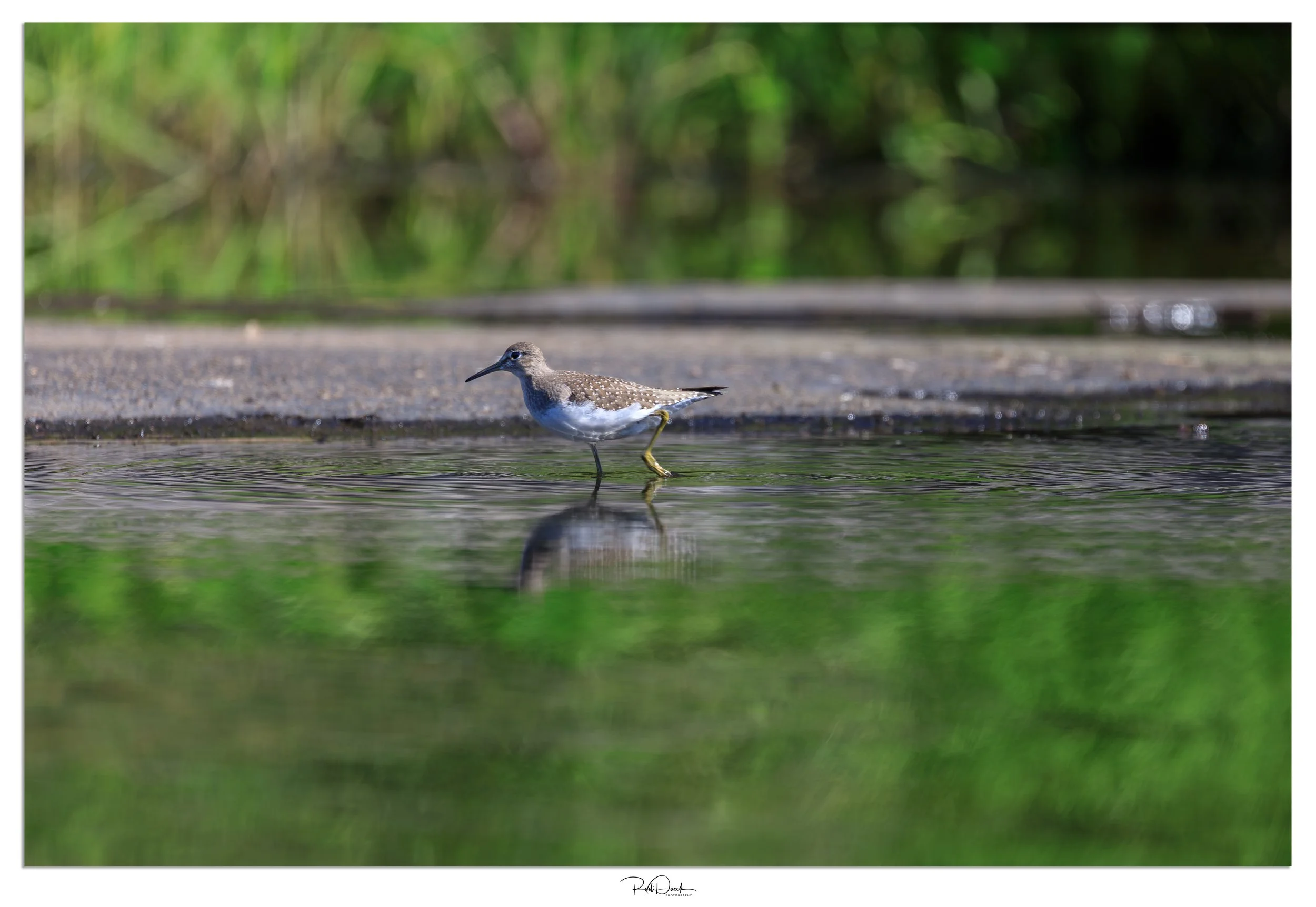 _UDI2588-Edit.jpg