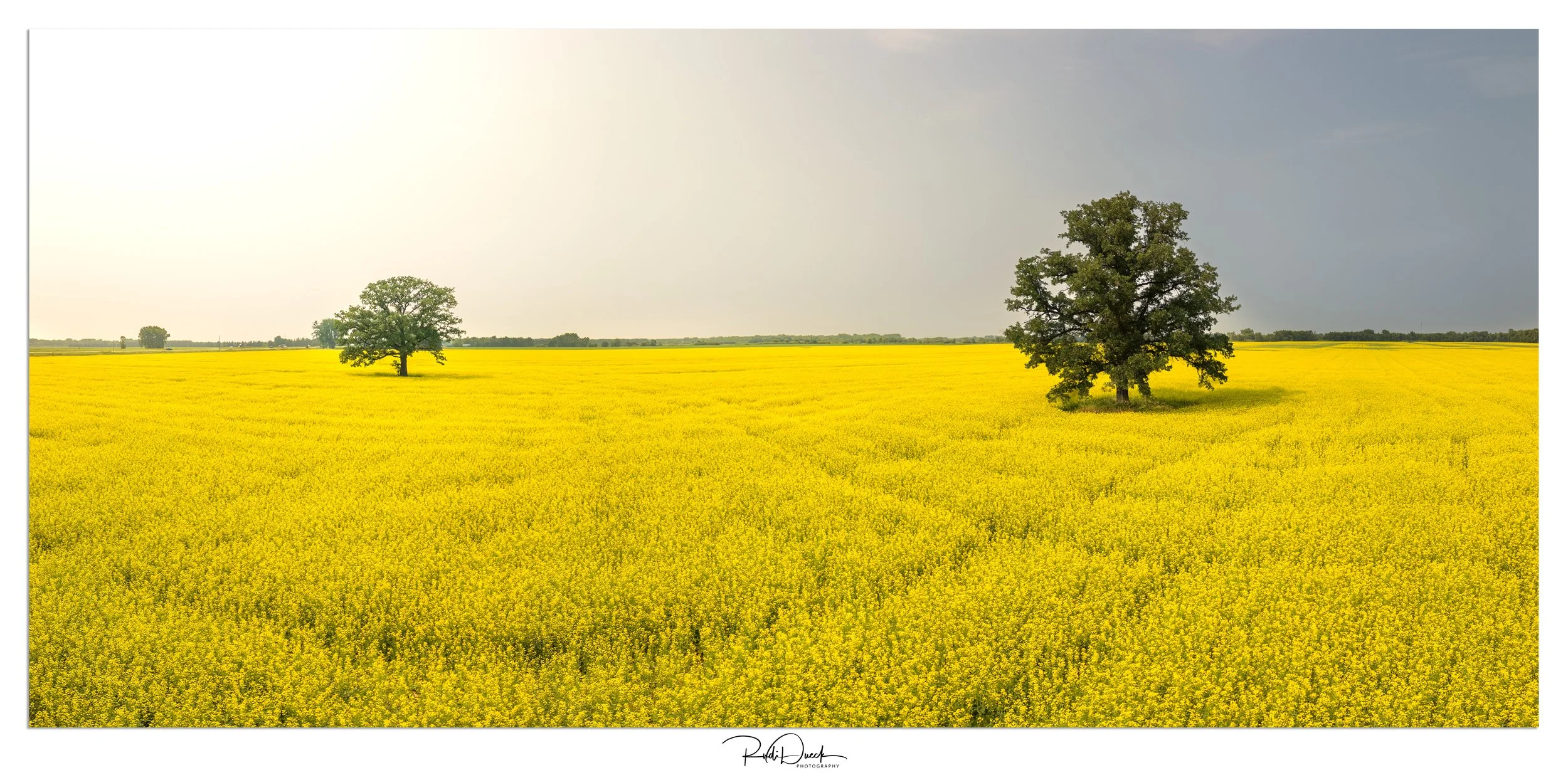 PANO_0001-Pano-Edit-4.jpg