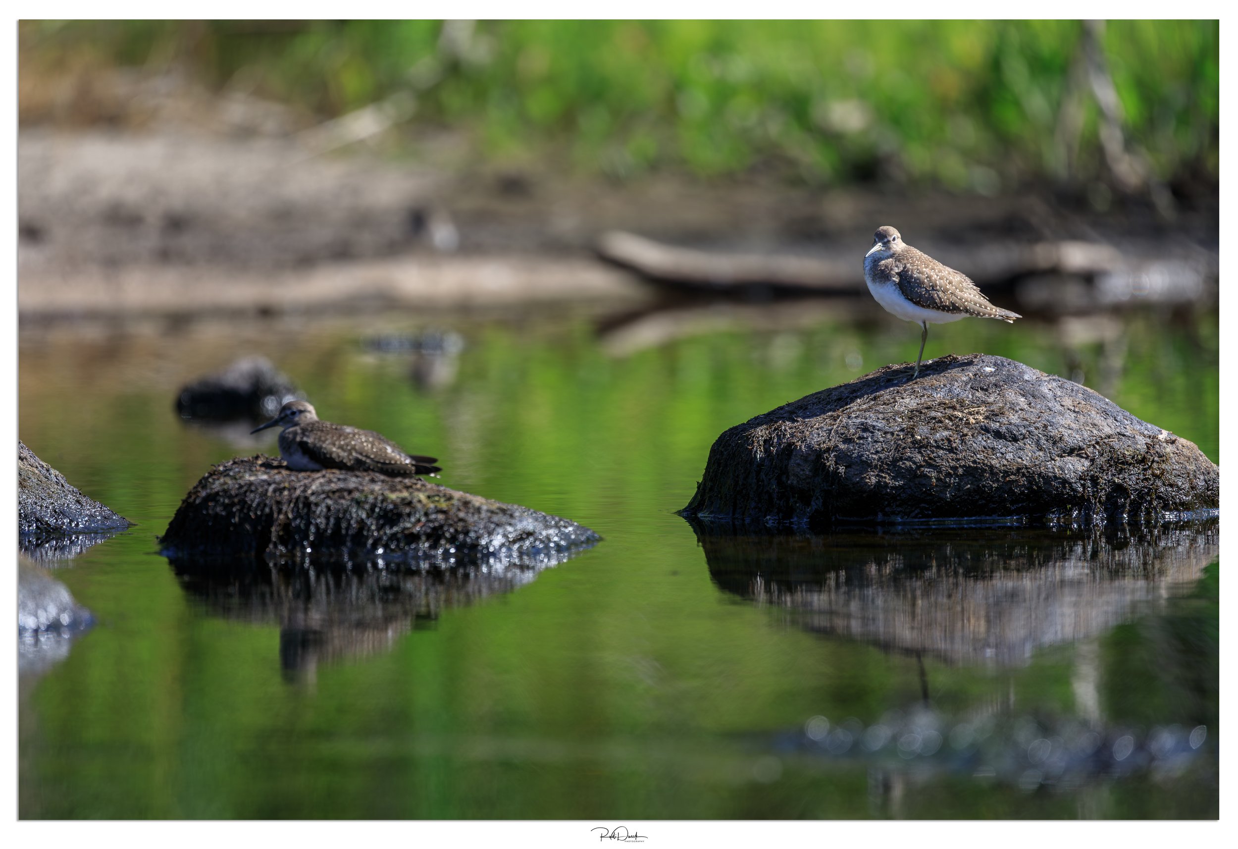 _UDI2707-Edit.jpg