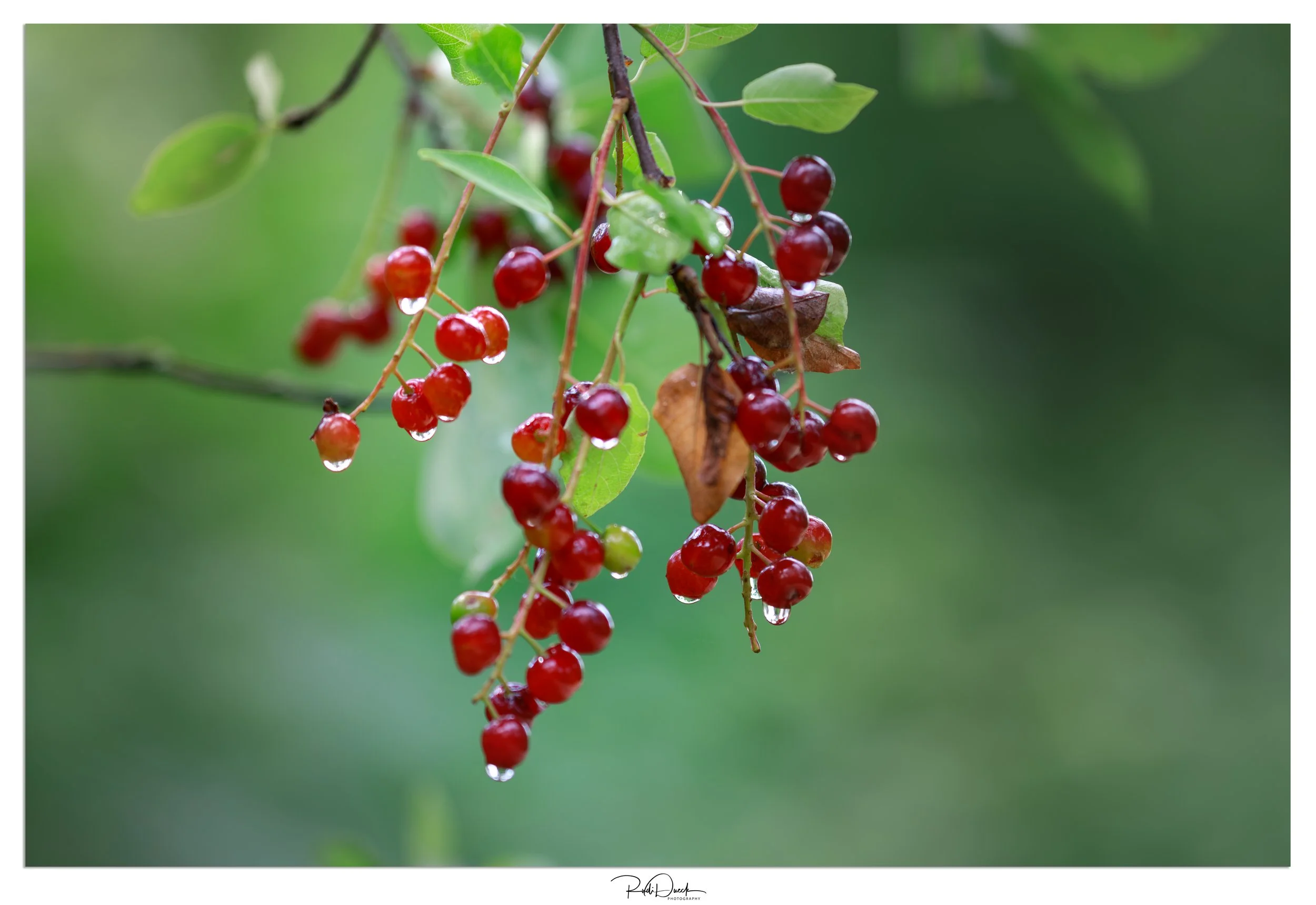 _UDI1416-Edit-Edit.jpg