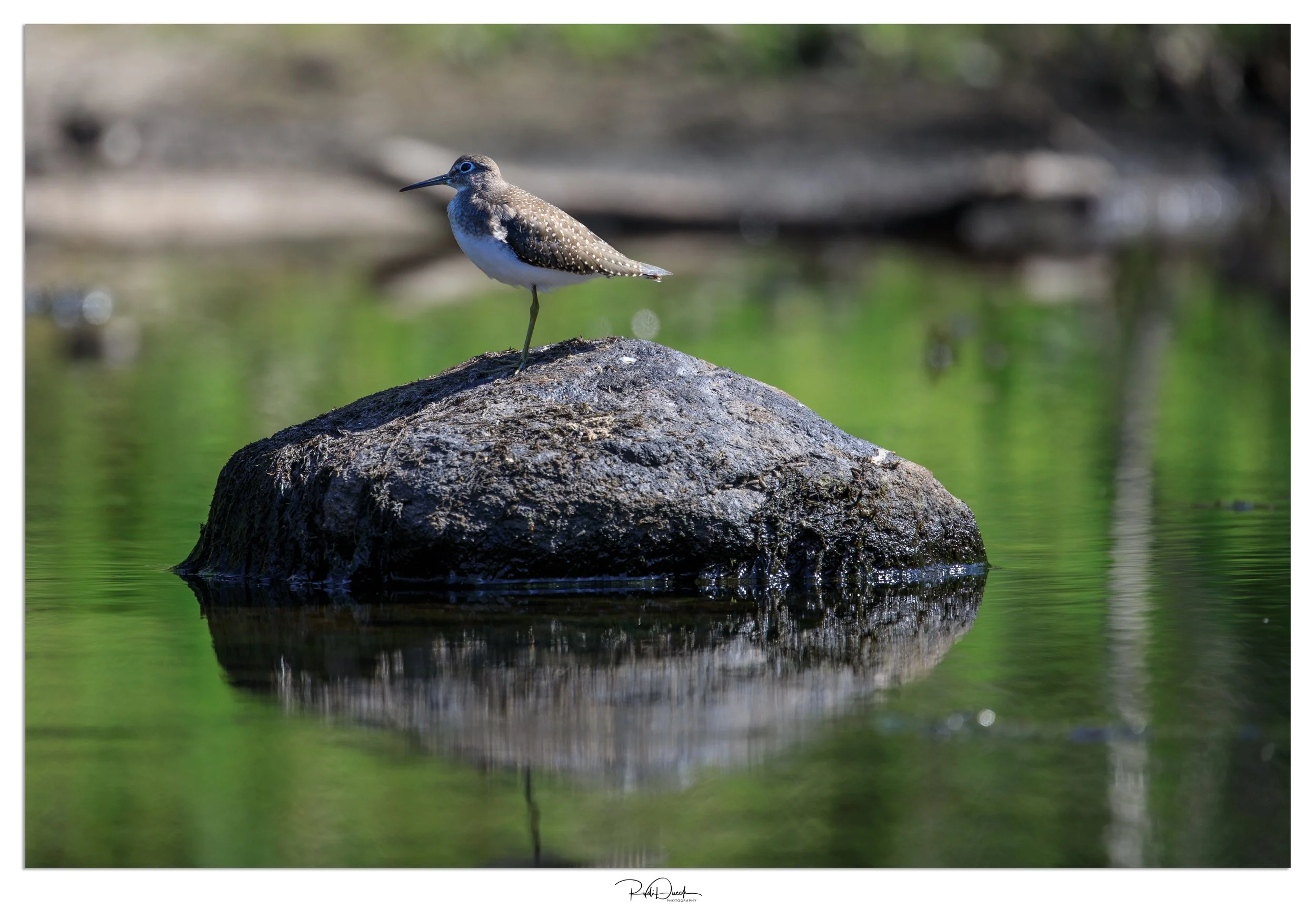 _UDI2729-Edit.jpg