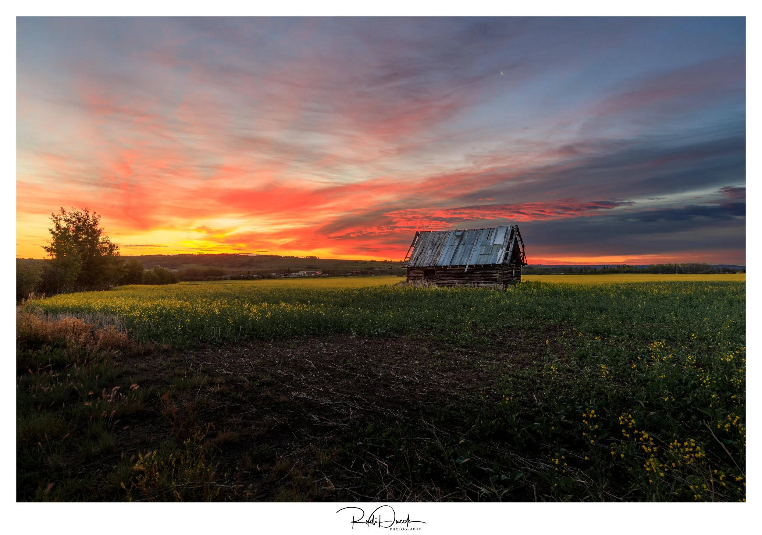 _UDI0635-Edit.jpg