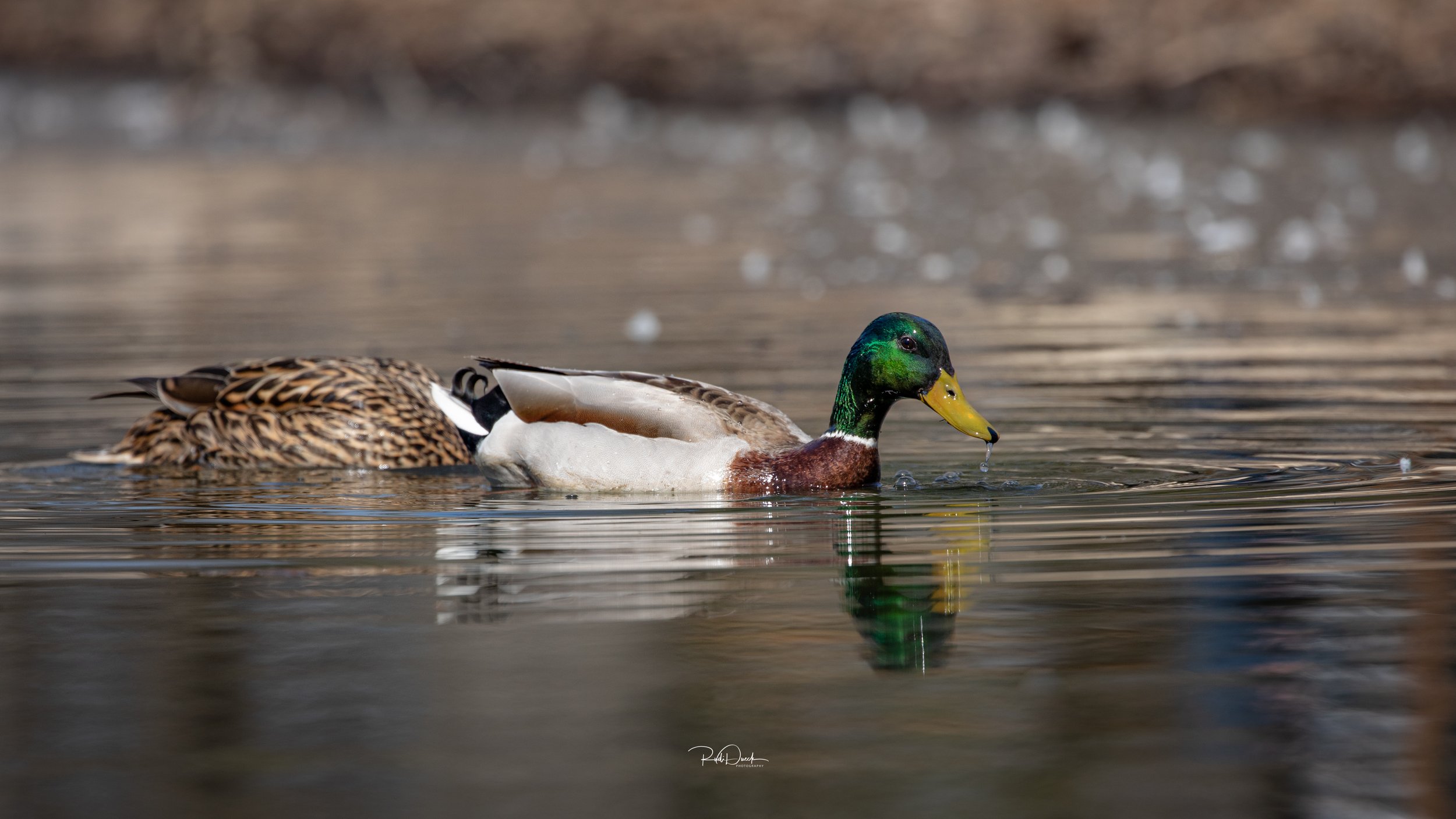 0D1A6537.jpg