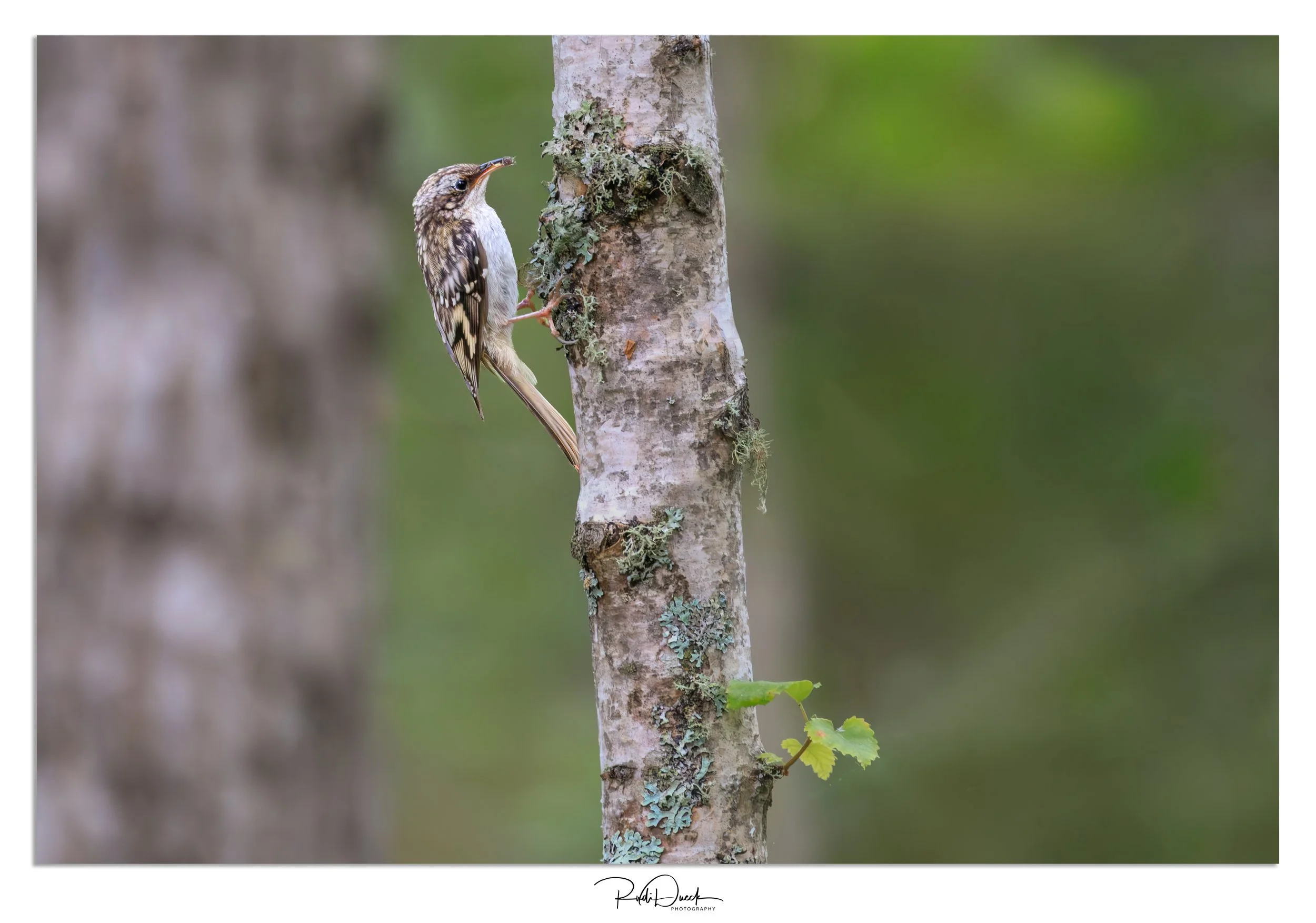 _UDI1639-Edit-Edit-Edit.jpg