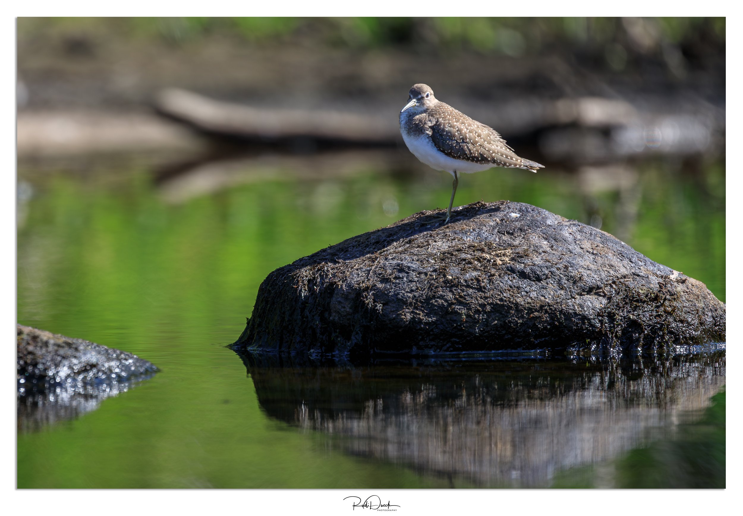 _UDI2707-Edit-2.jpg