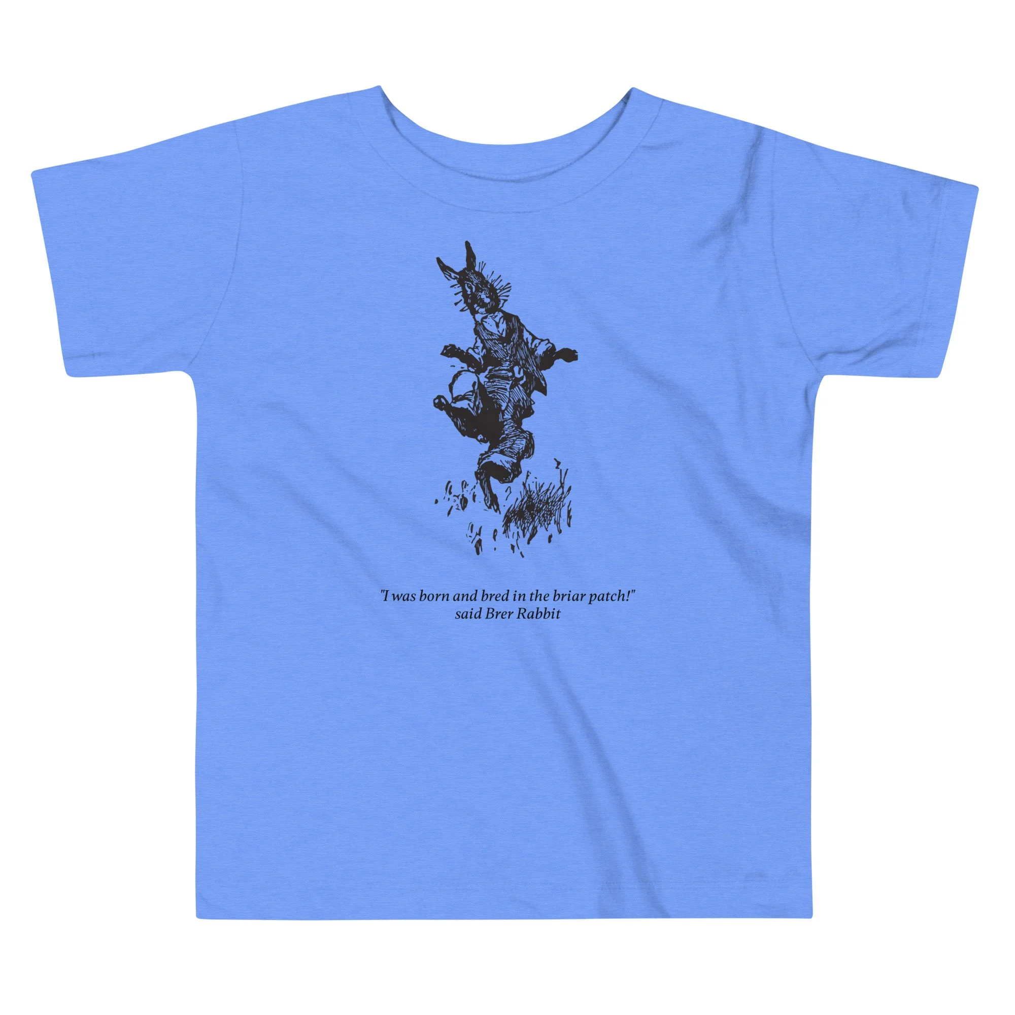 toddler-staple-tee-heather-columbia-blue-front-66cf76222d975.jpg