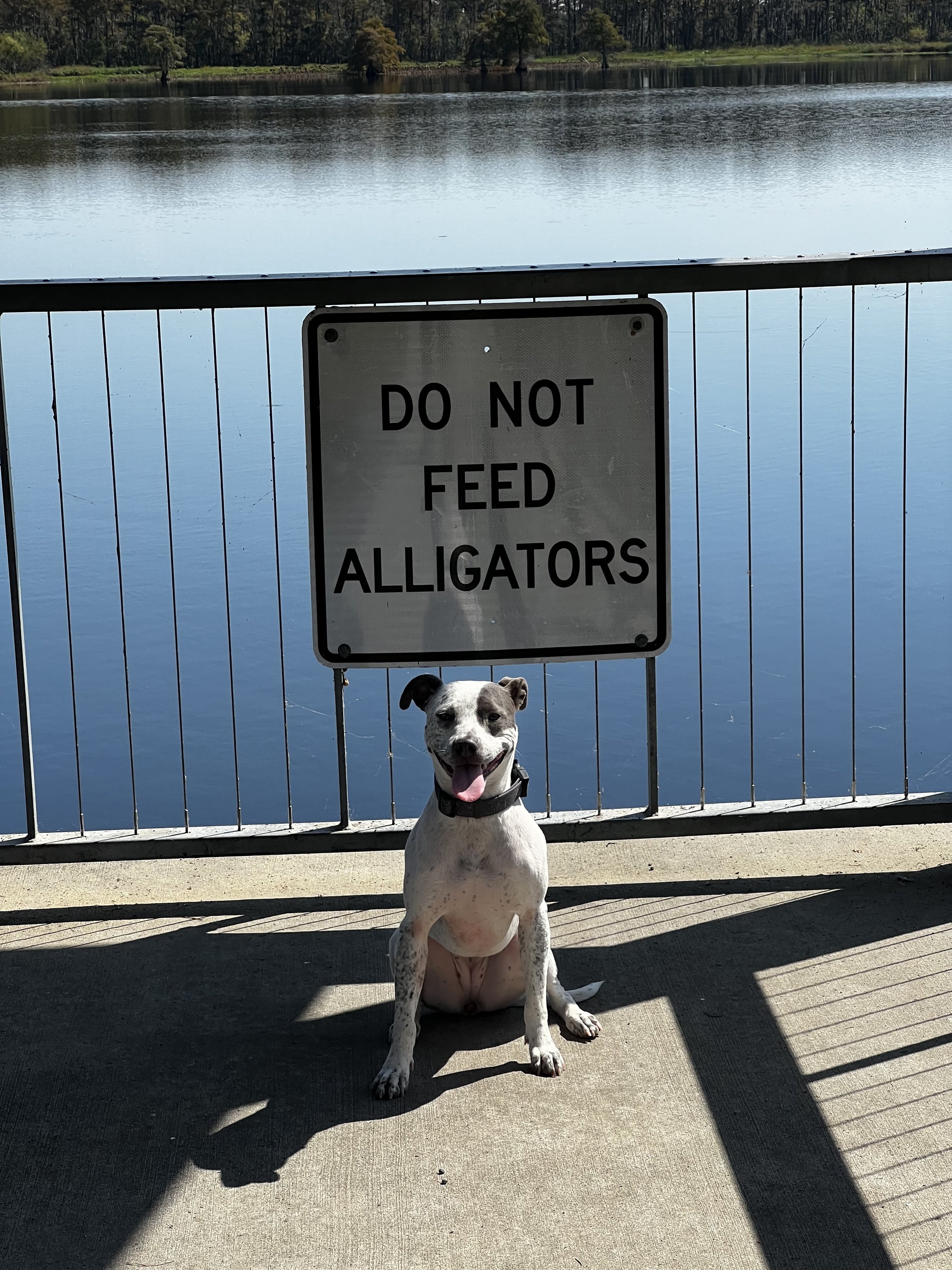 IMG_4598 2.jpeg