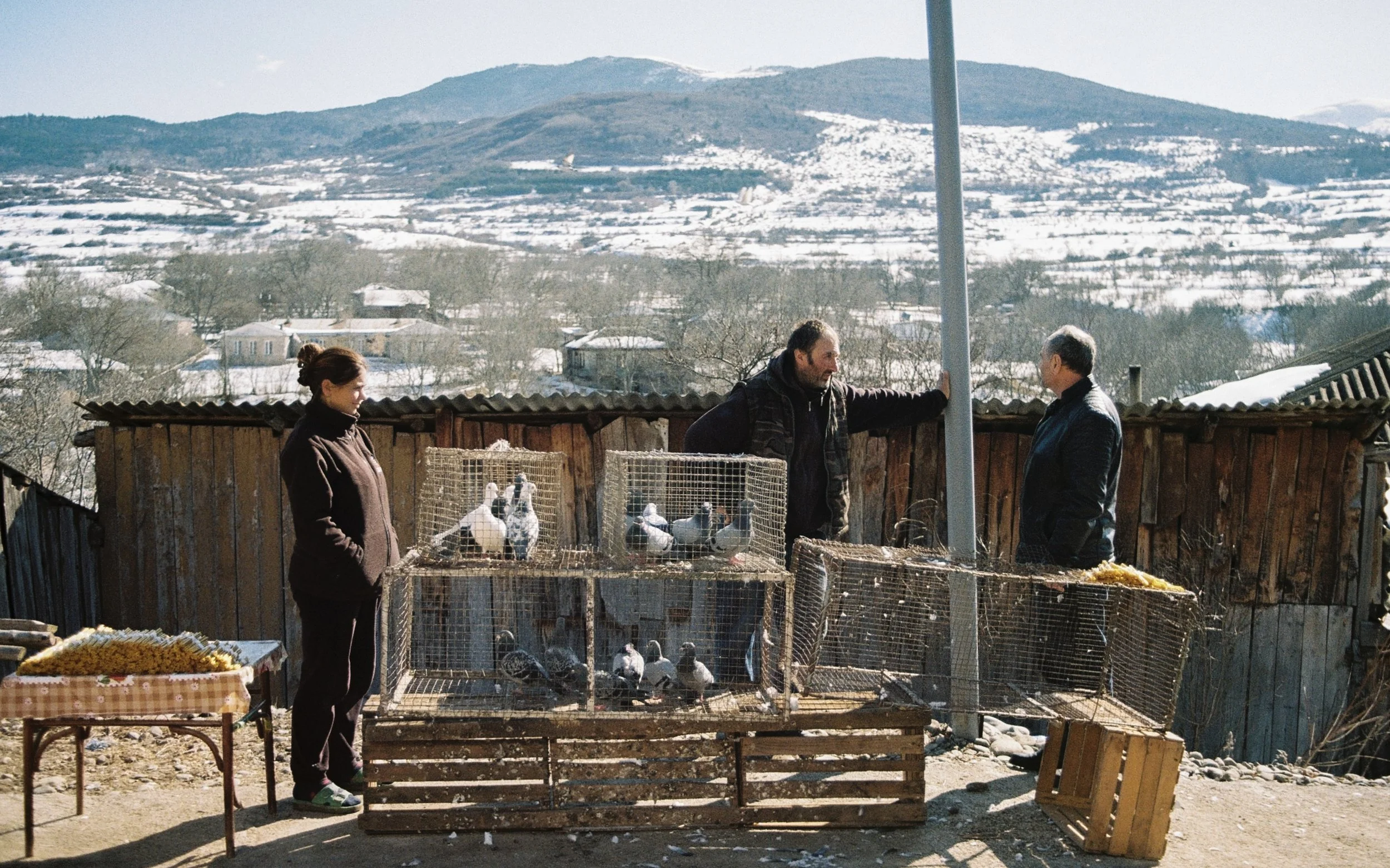 On Surb Sarkis, villagers may pay to release pigeons or doves as part of the religious ceremony. They are often recaptured for repeated use.
