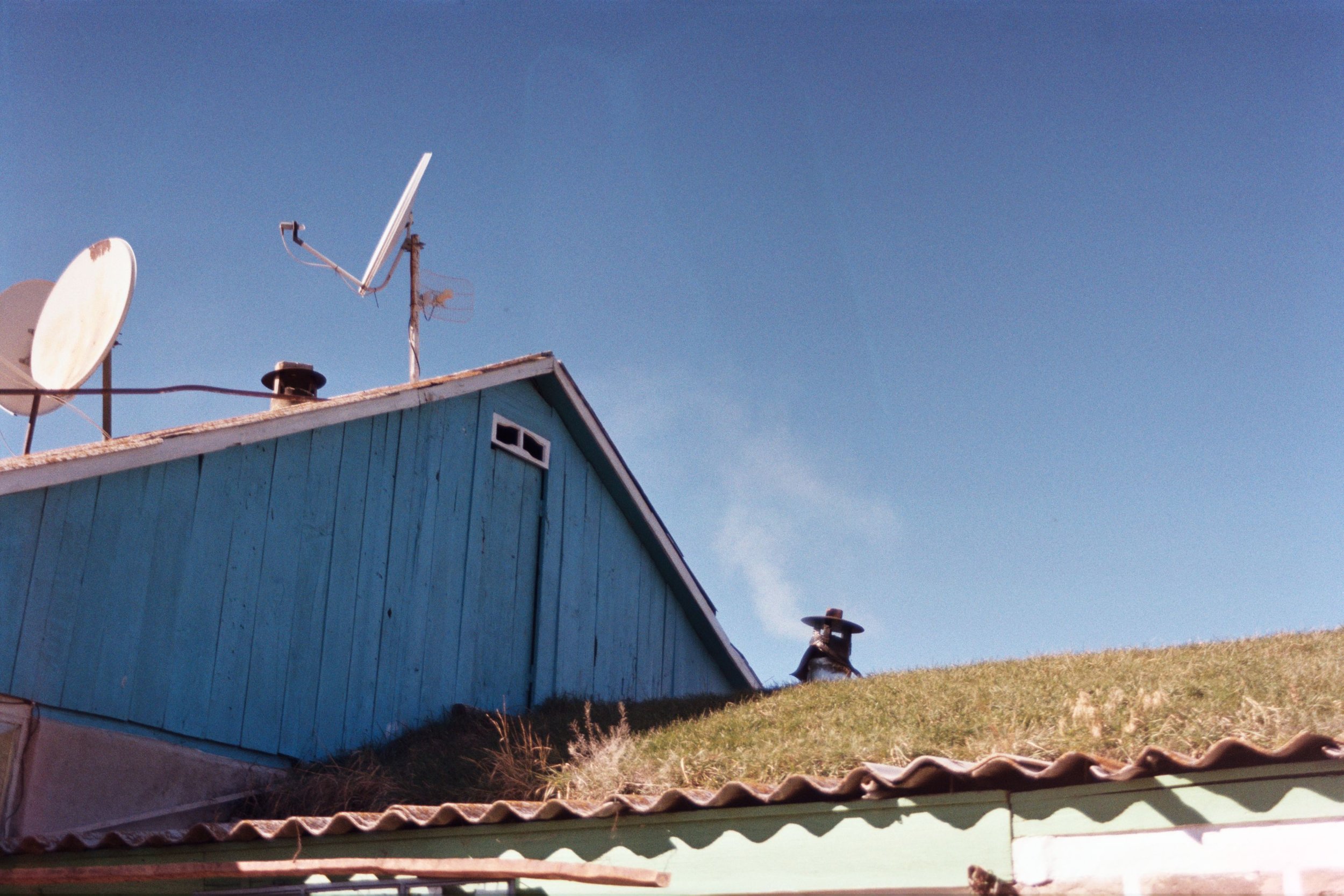 Grass Growing Roofs