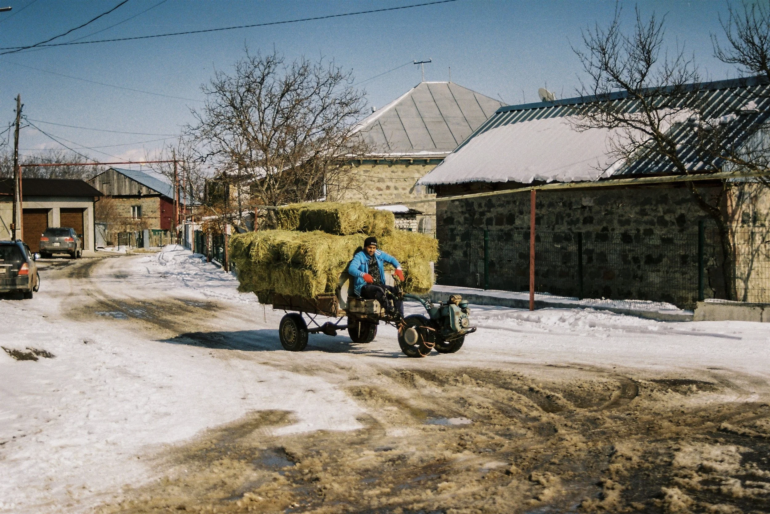 Hay in Feburary (1) (1).jpg