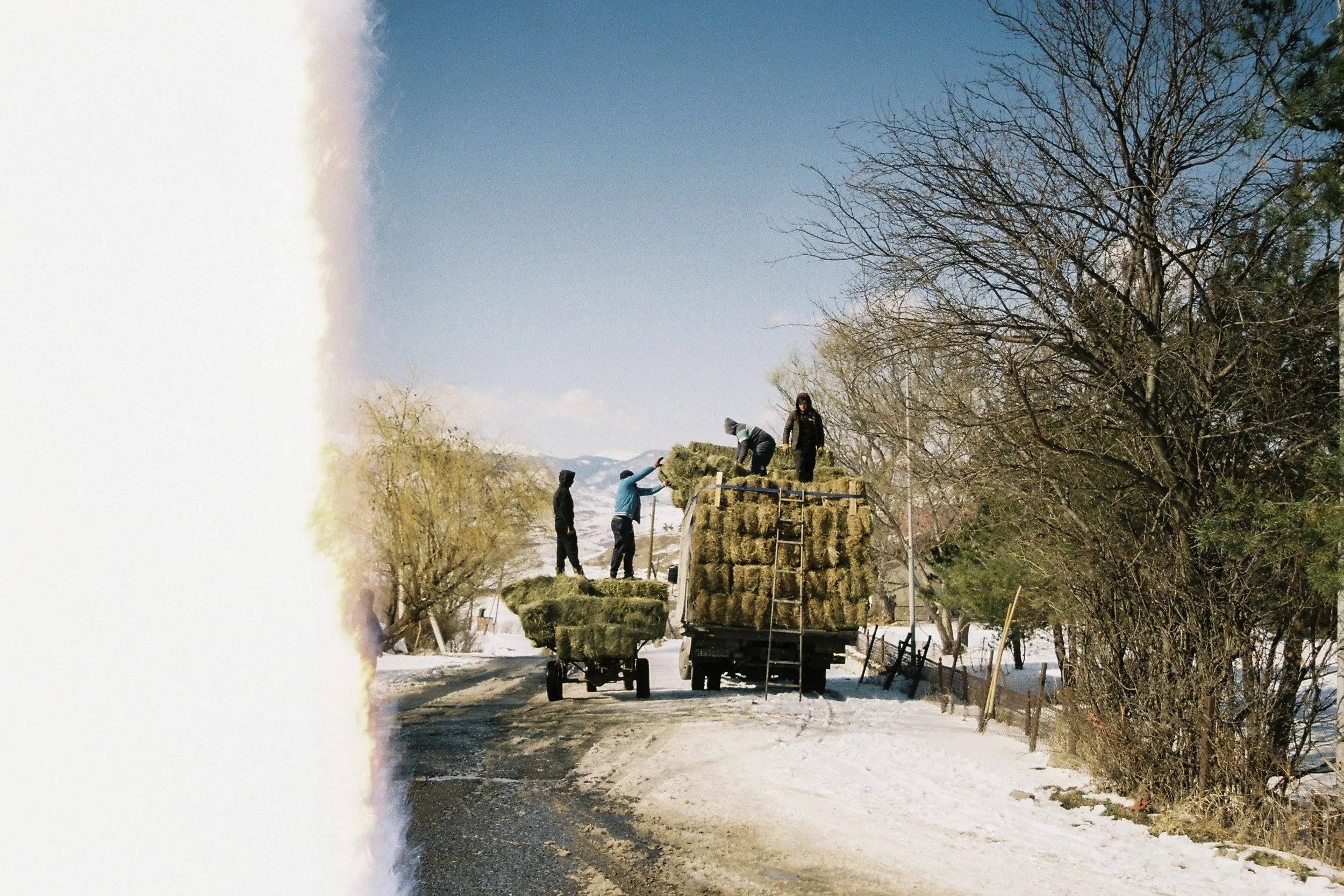 Stacking_Hay_Winter (2) (1).jpg