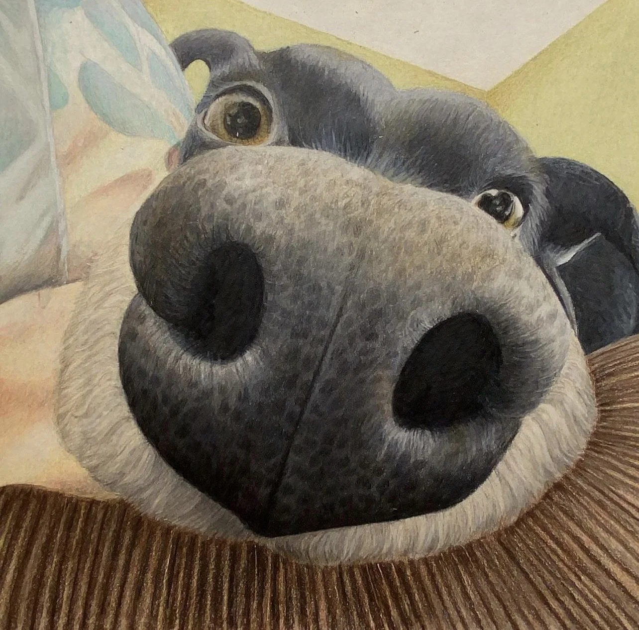 Screenshot 2023-10-05 at 9.12.25 AM.jpg