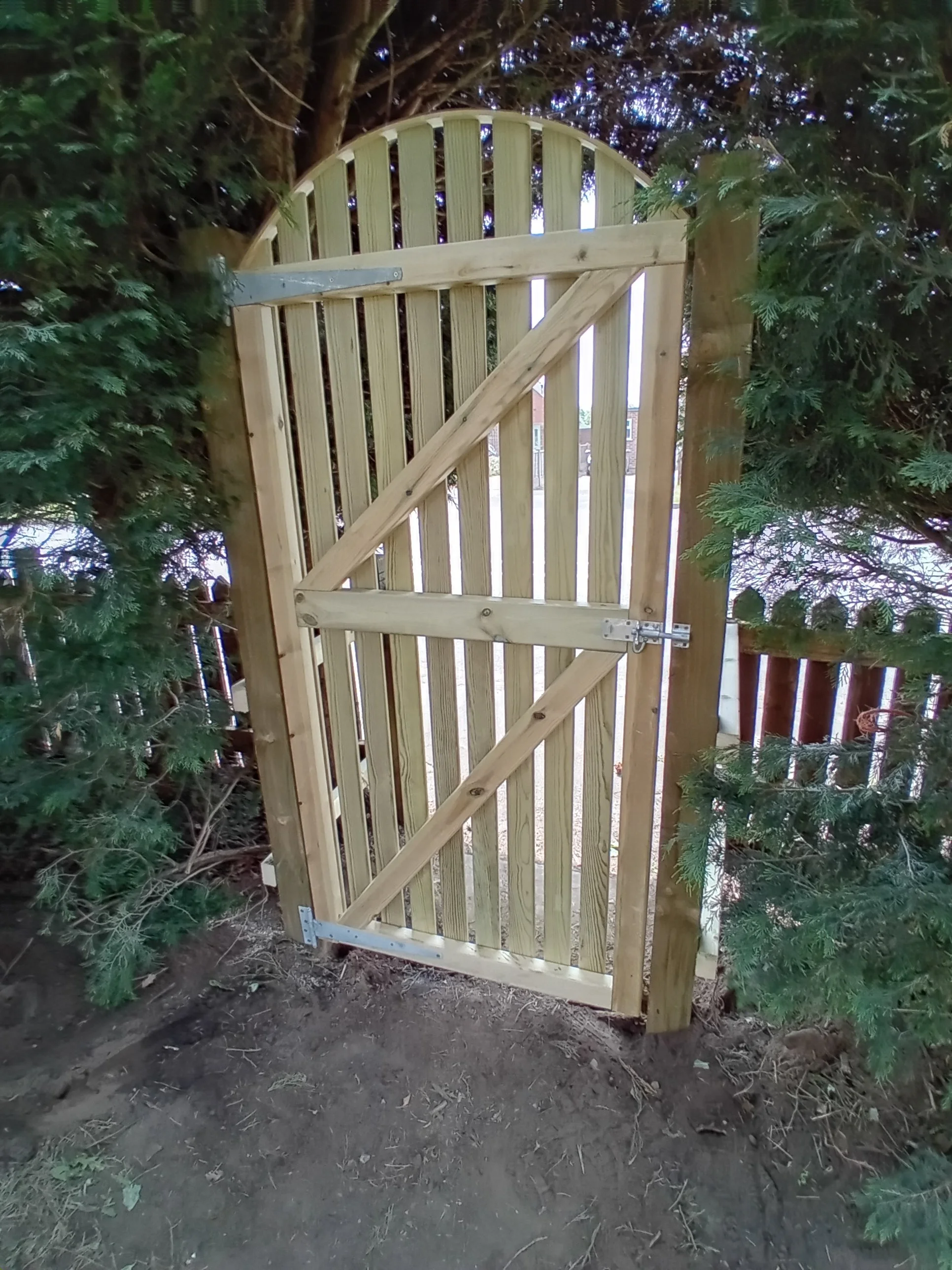 Picket - convex (back).jpg