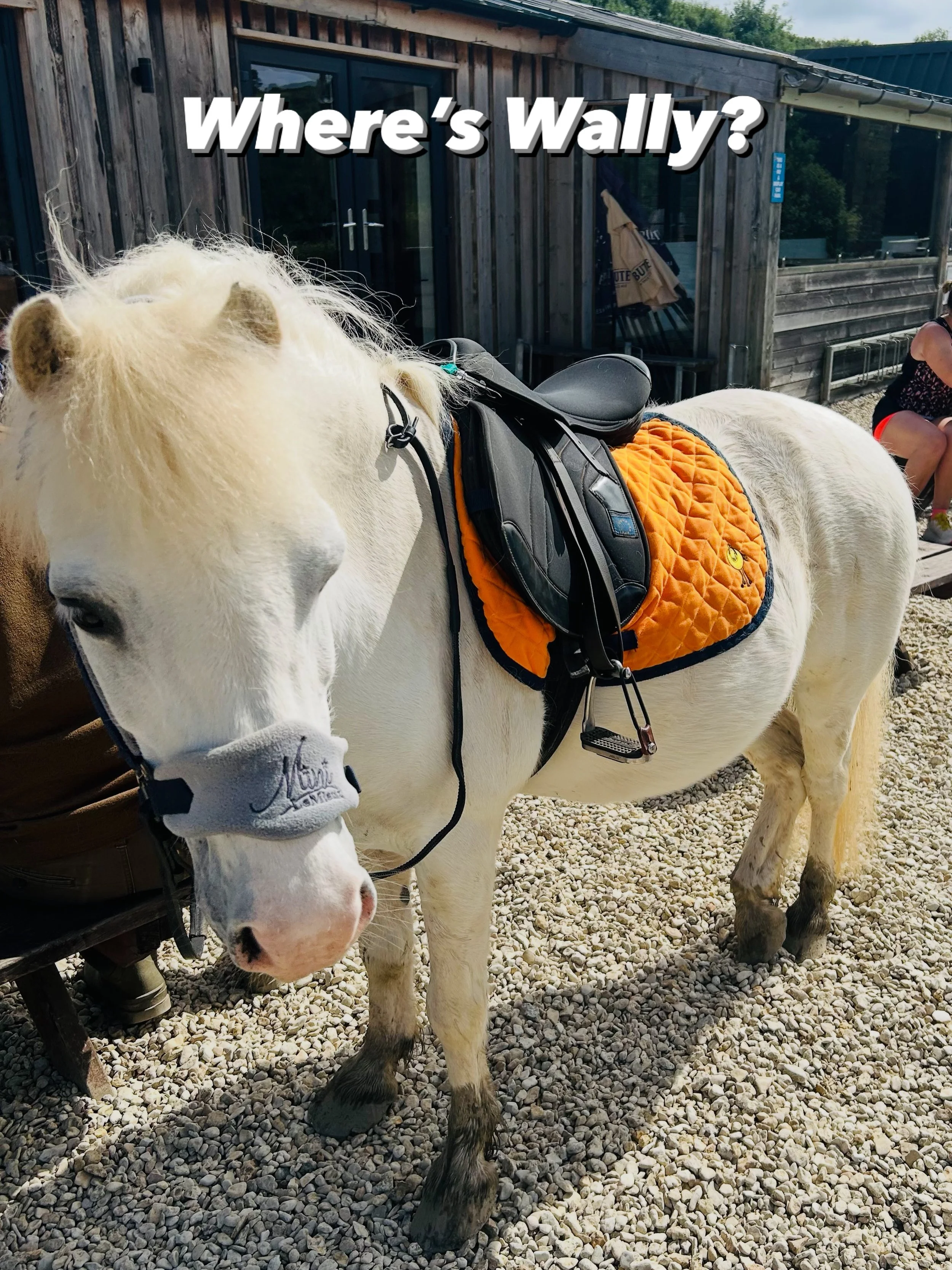 Well&hellip; we may have just had our favourite visitor of the day 🐴☕️

A very special visit from local legend, Wally the pony, stopped us in our tracks today &mdash; and definitely stole a few hearts (and all the attention). Safe to say he&rsquo;s 
