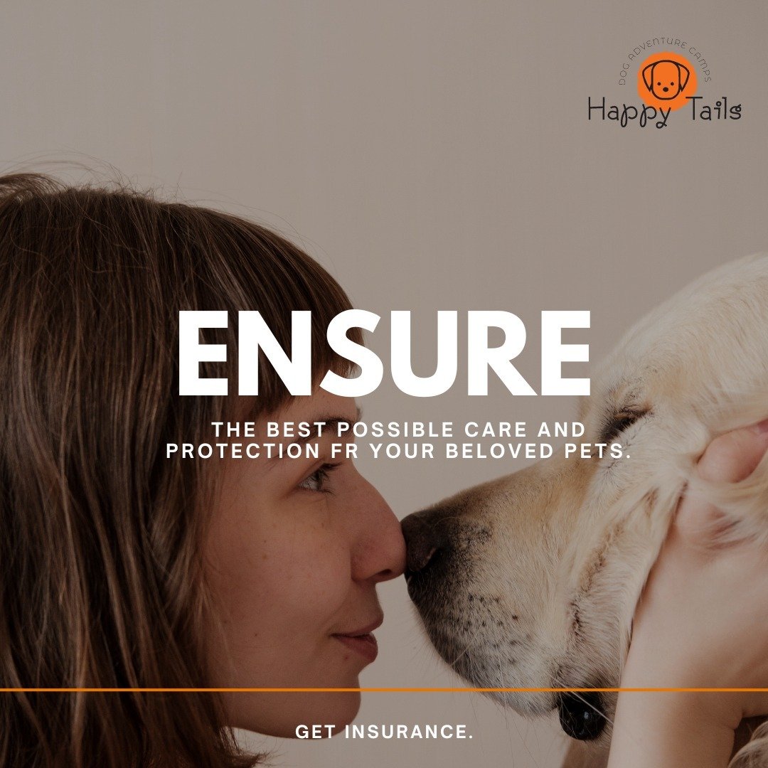 Did you know pet insurance can help cover unexpected medical costs and give you peace of mind? From accidents to illnesses, having insurance ensures your pet gets the best care without financial stress. Explore options, compare plans, and choose the 