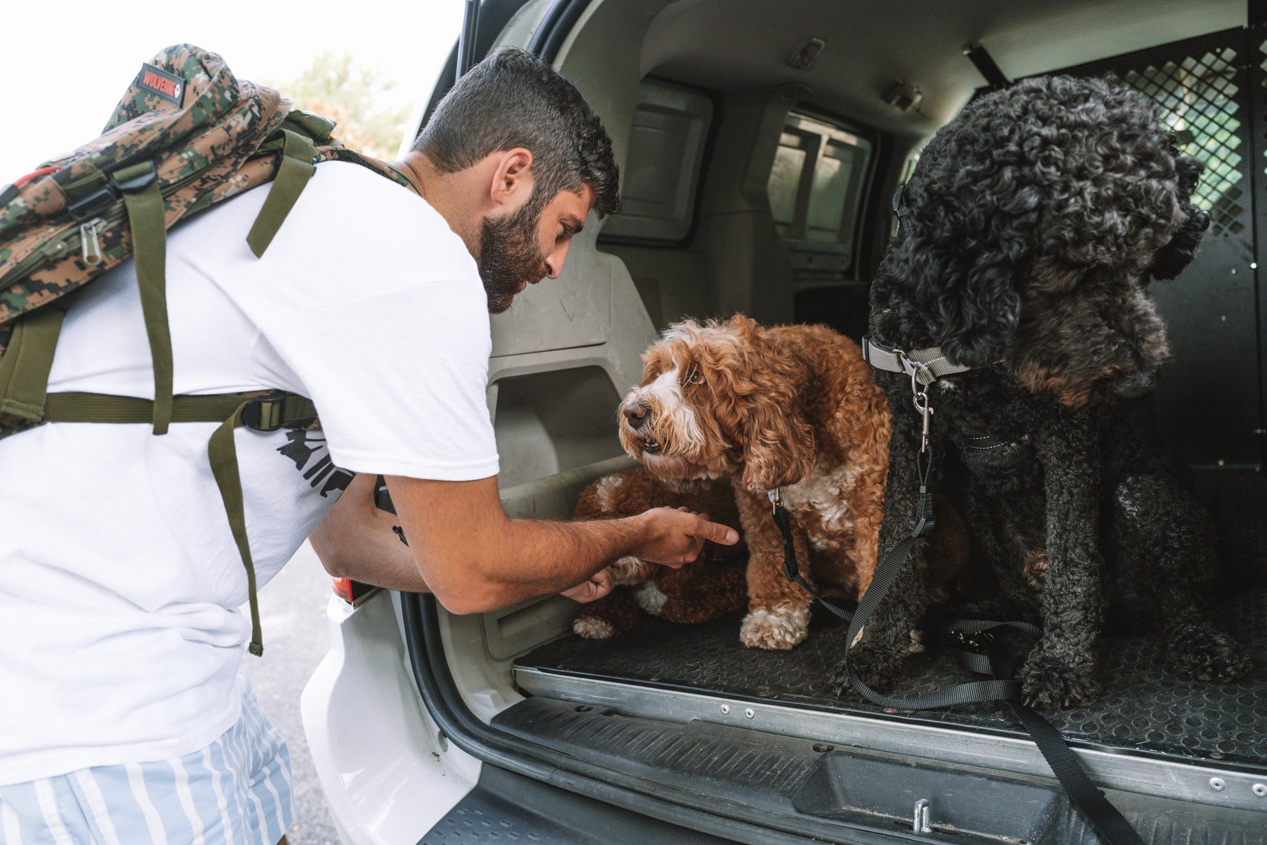 Services — HAPPY TAILS