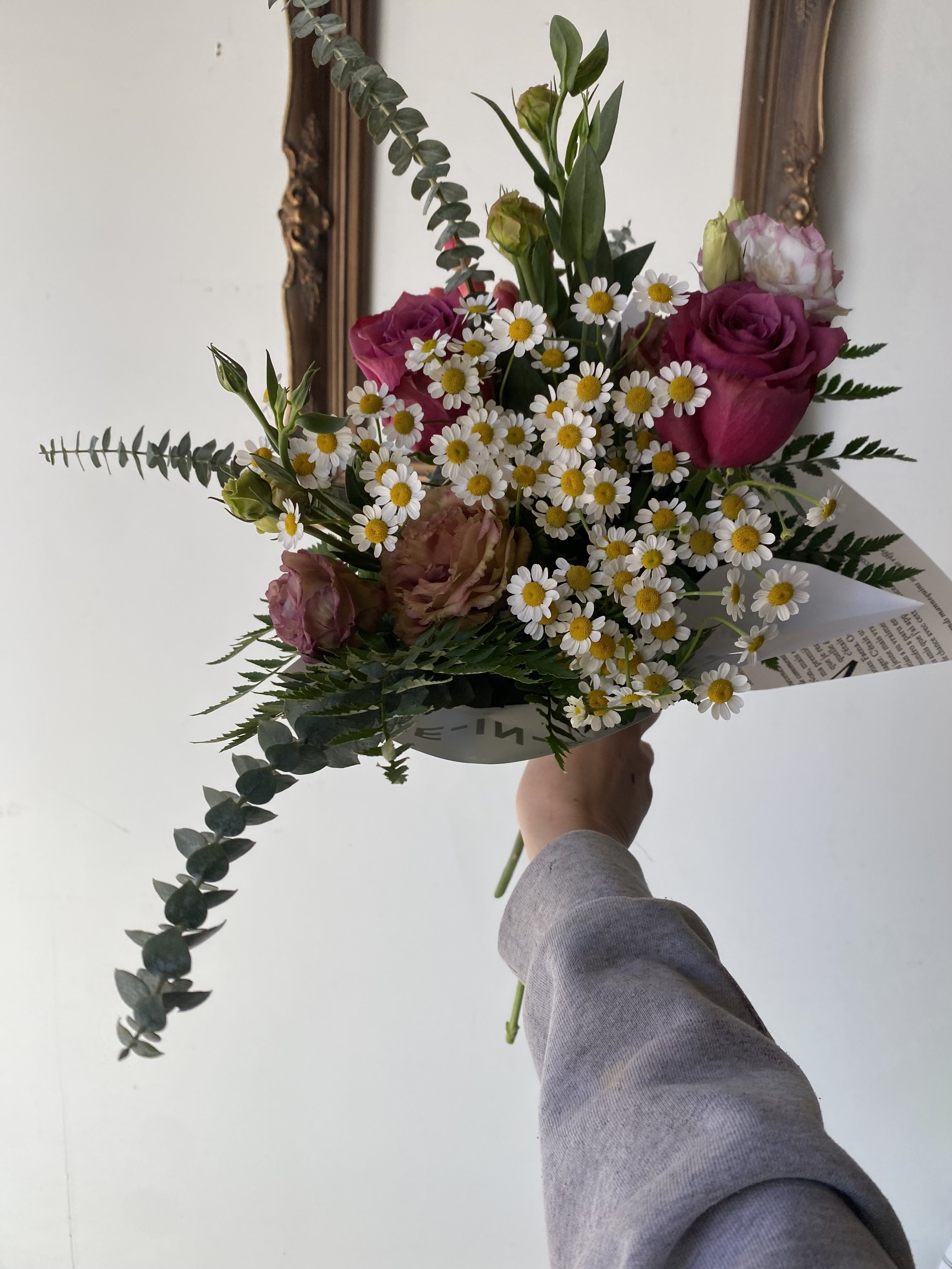 IMG_2271.jpeg