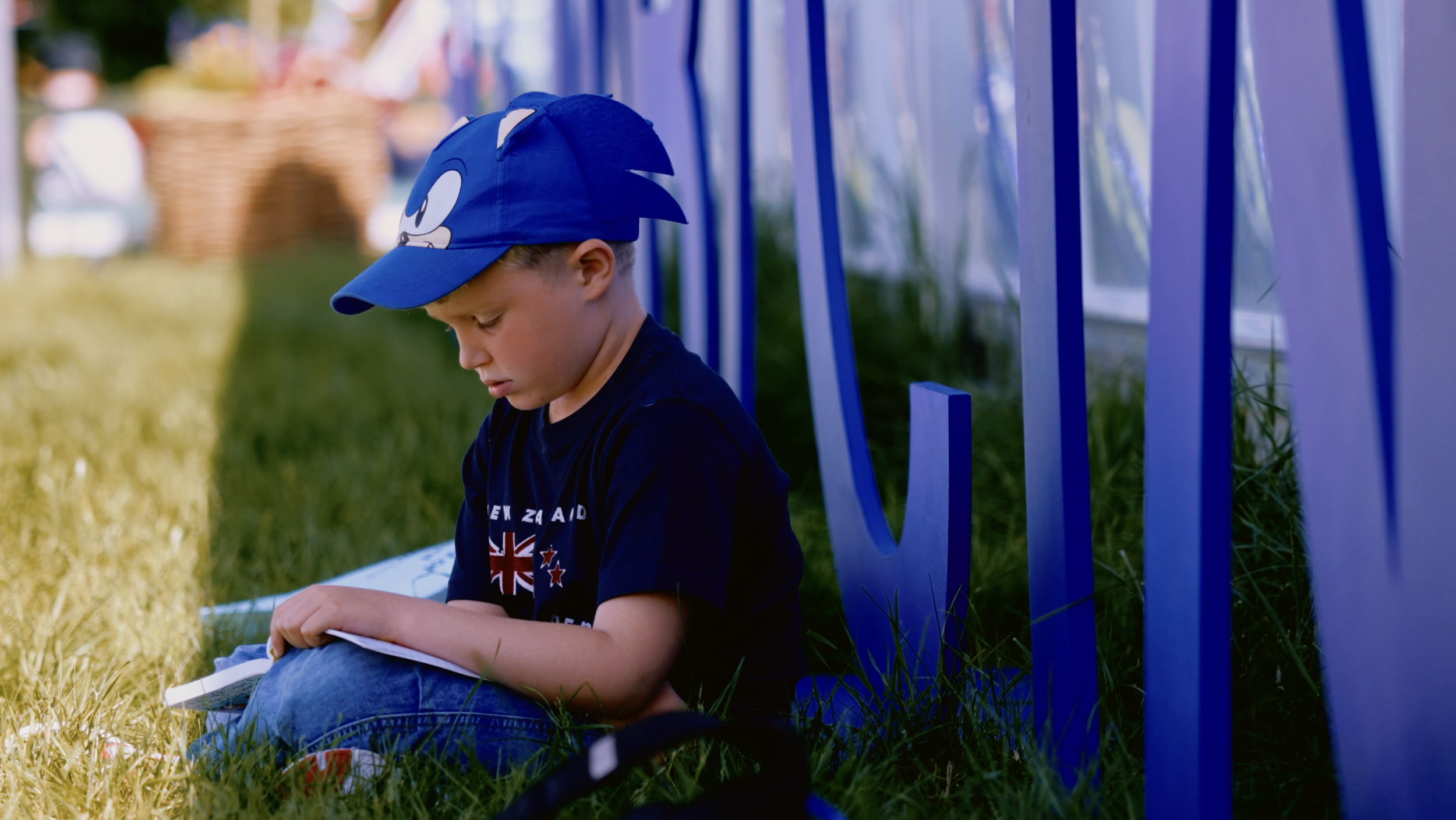 The Hay Festival