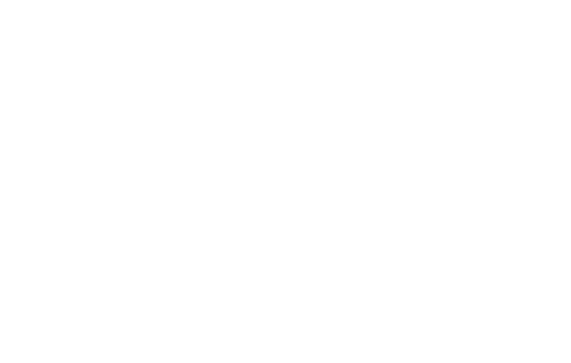 Weekend Offender