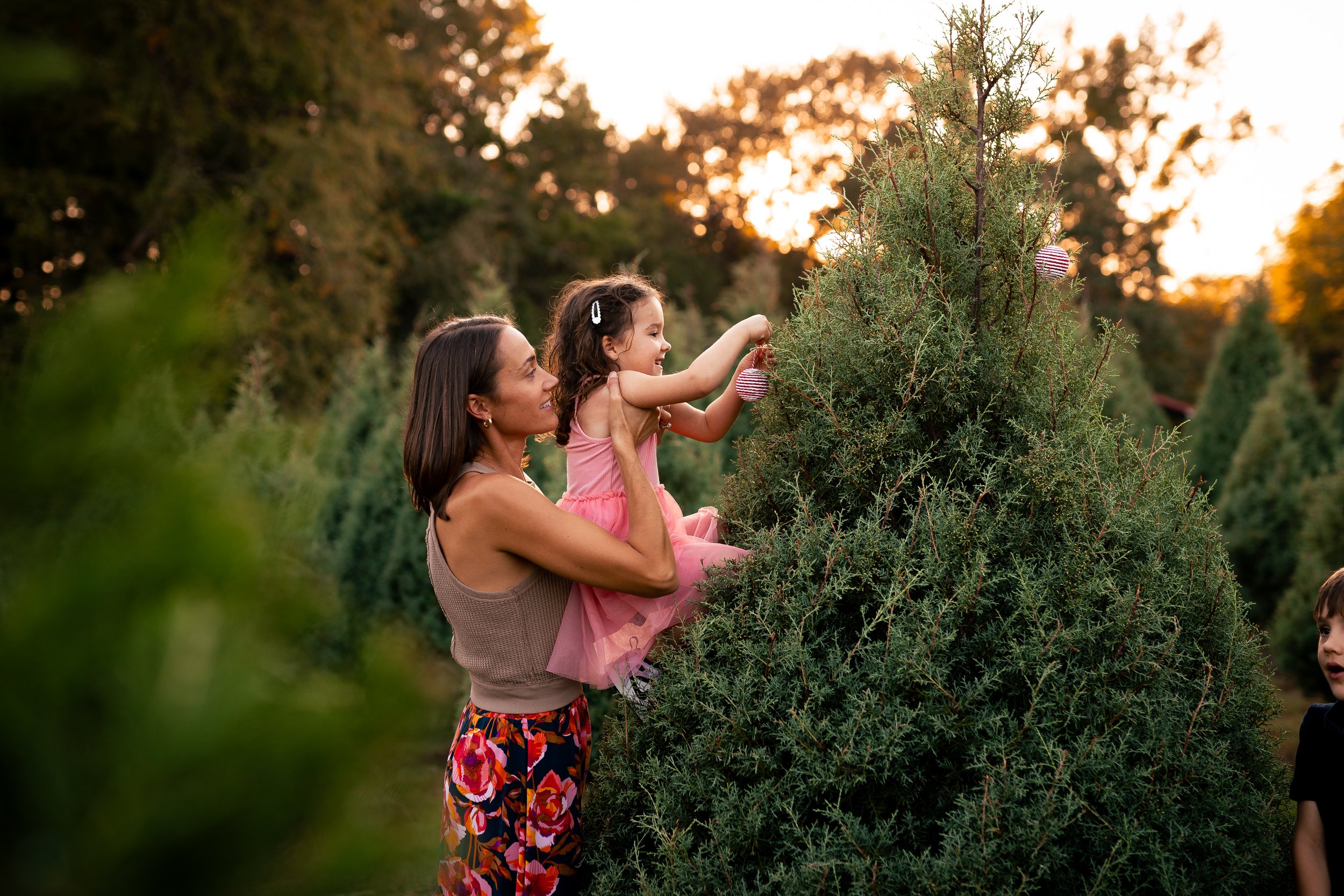 Tree Farm_Crehan-48.jpg