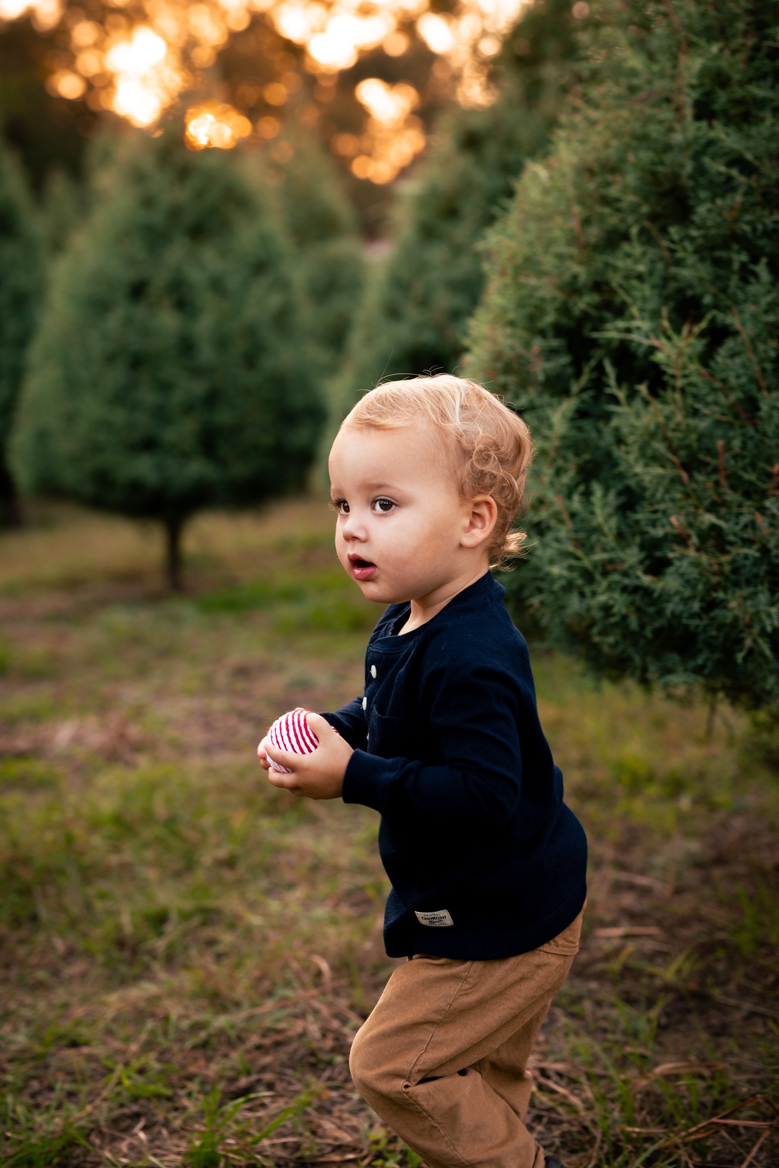 Tree Farm_Crehan-56.jpg