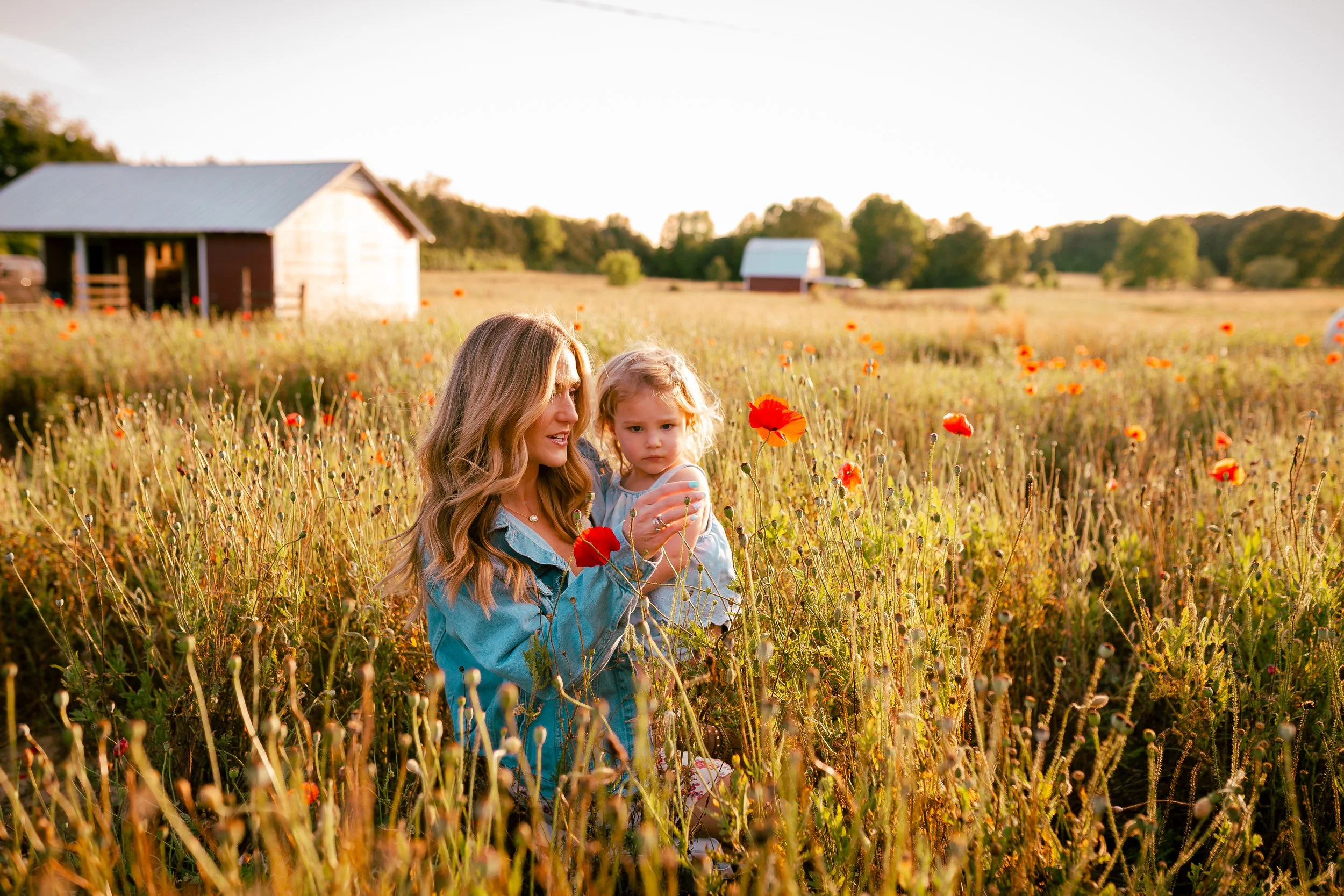Poppies-6.jpg