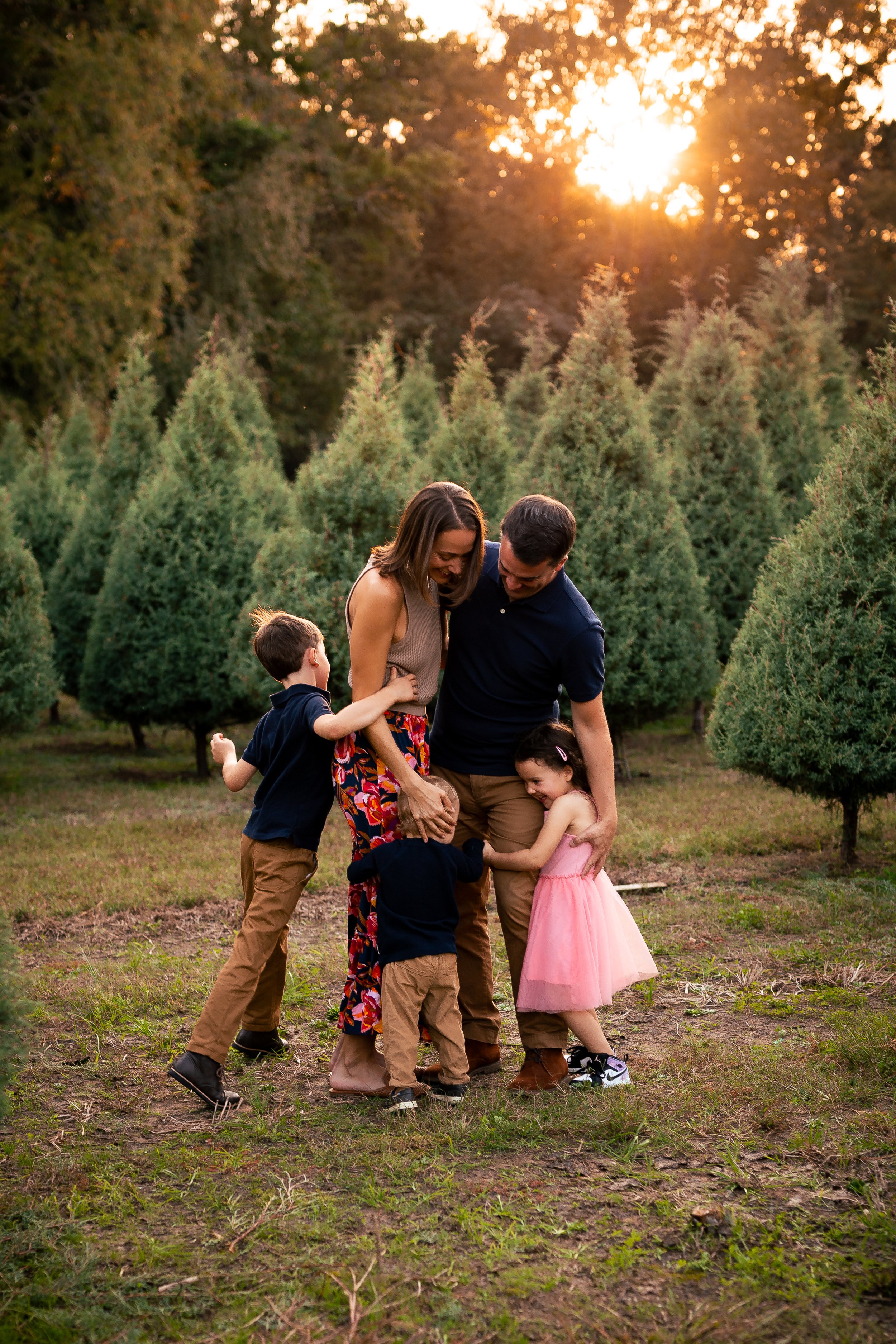 Tree Farm_Crehan-36.jpg