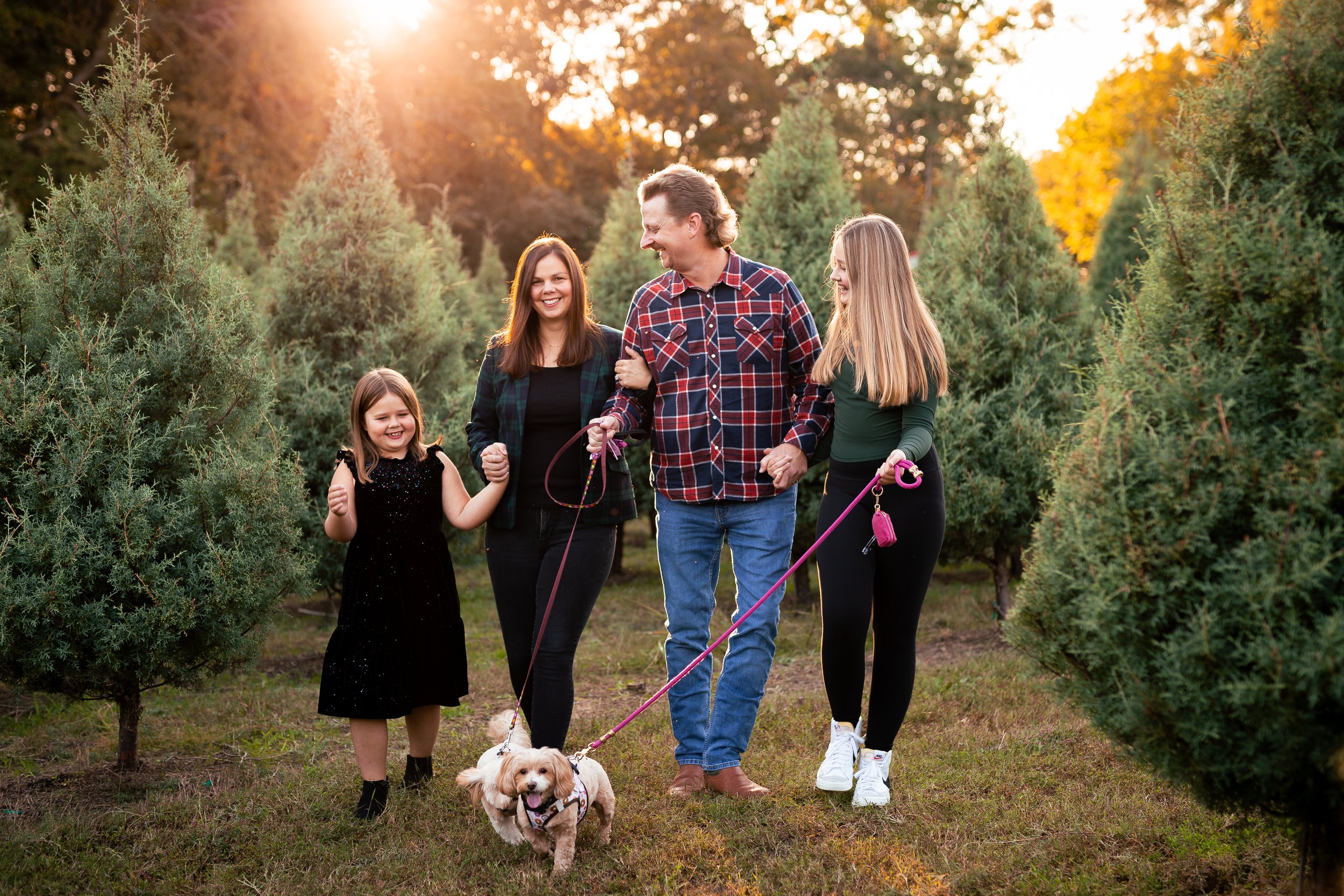 Tree Farm_Huffman-8.jpg