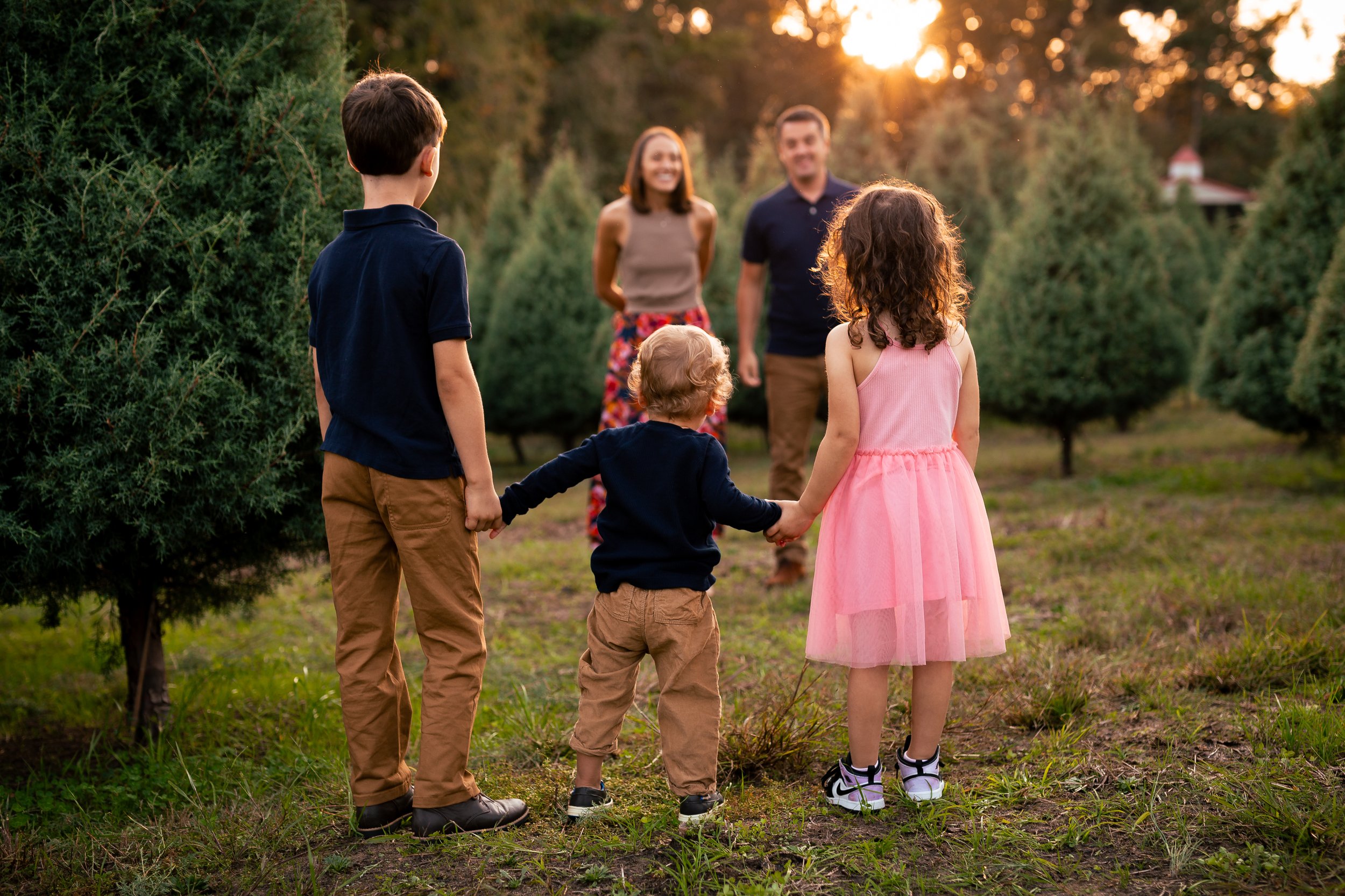 Tree Farm_Crehan-30.jpg