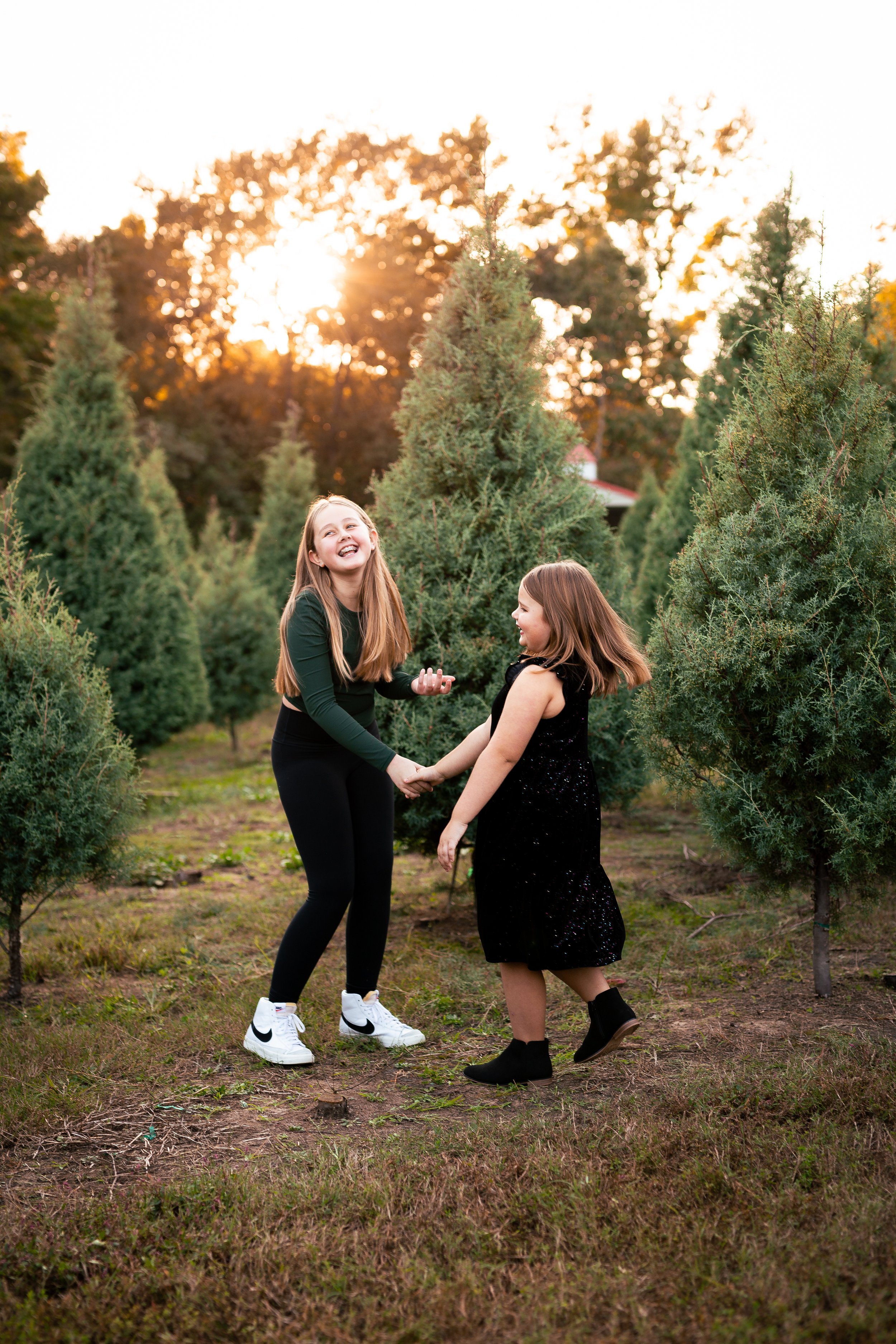 Tree Farm_Huffman-42.jpg