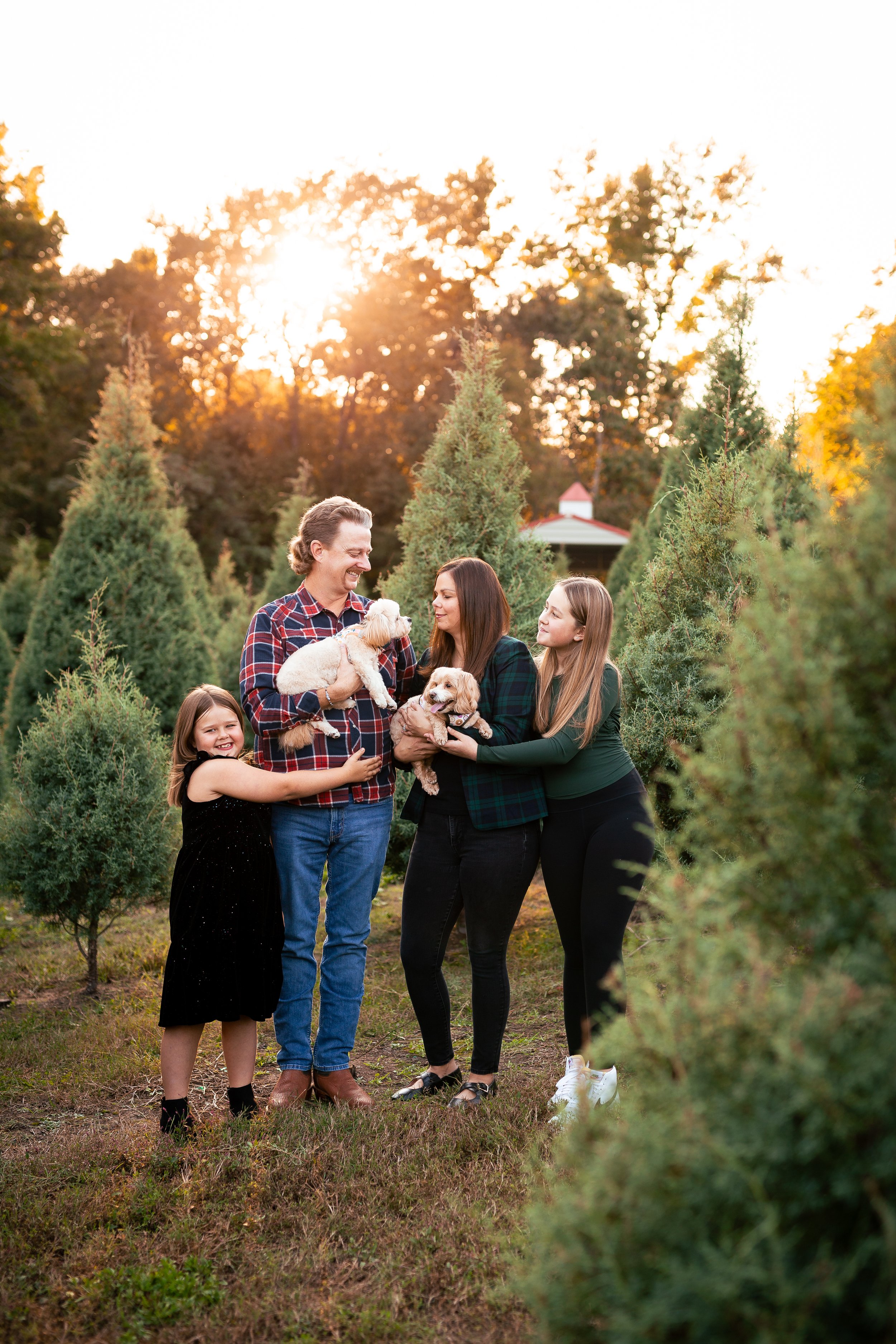 Tree Farm_Huffman-31.jpg