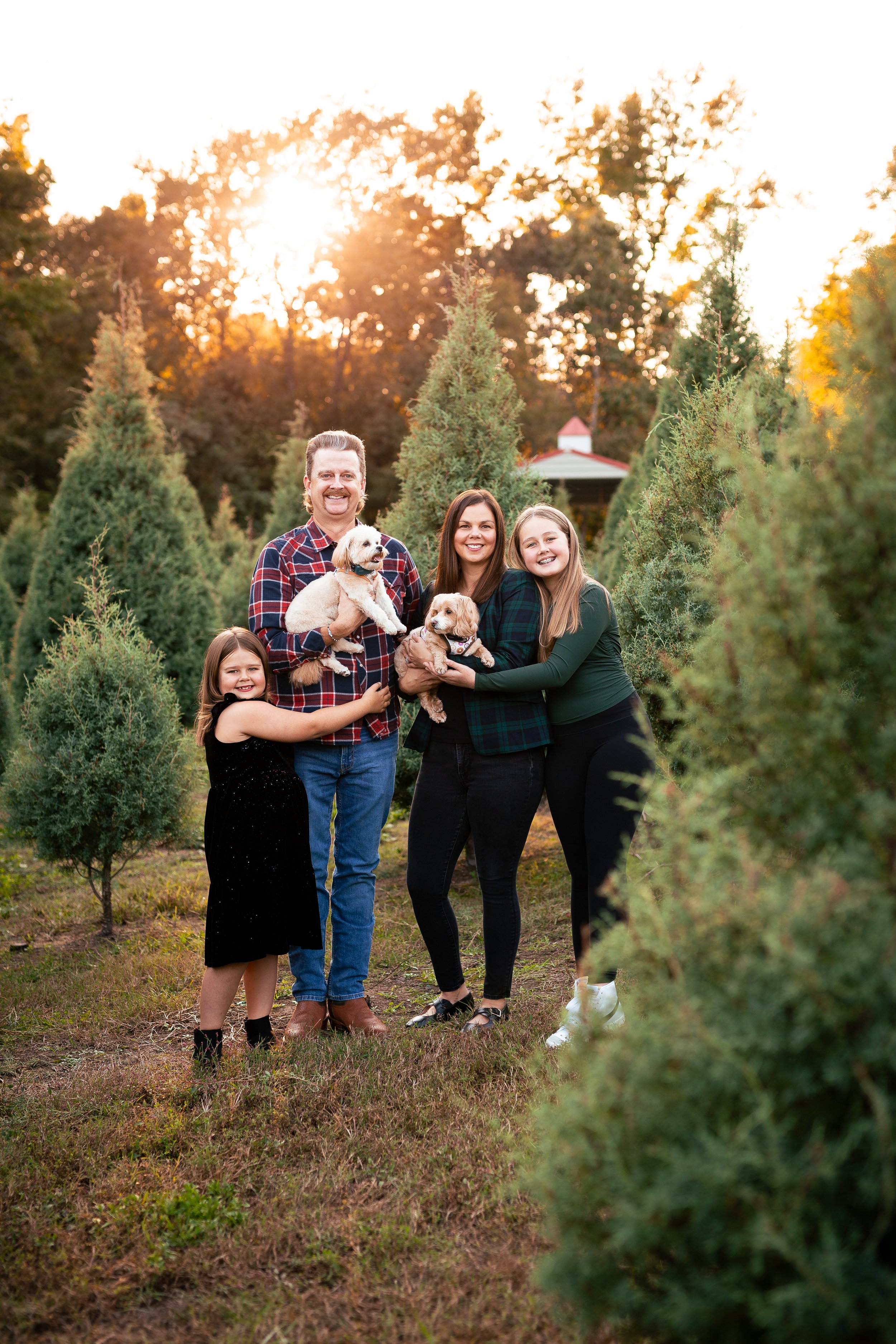 Tree Farm_Huffman-26.jpg