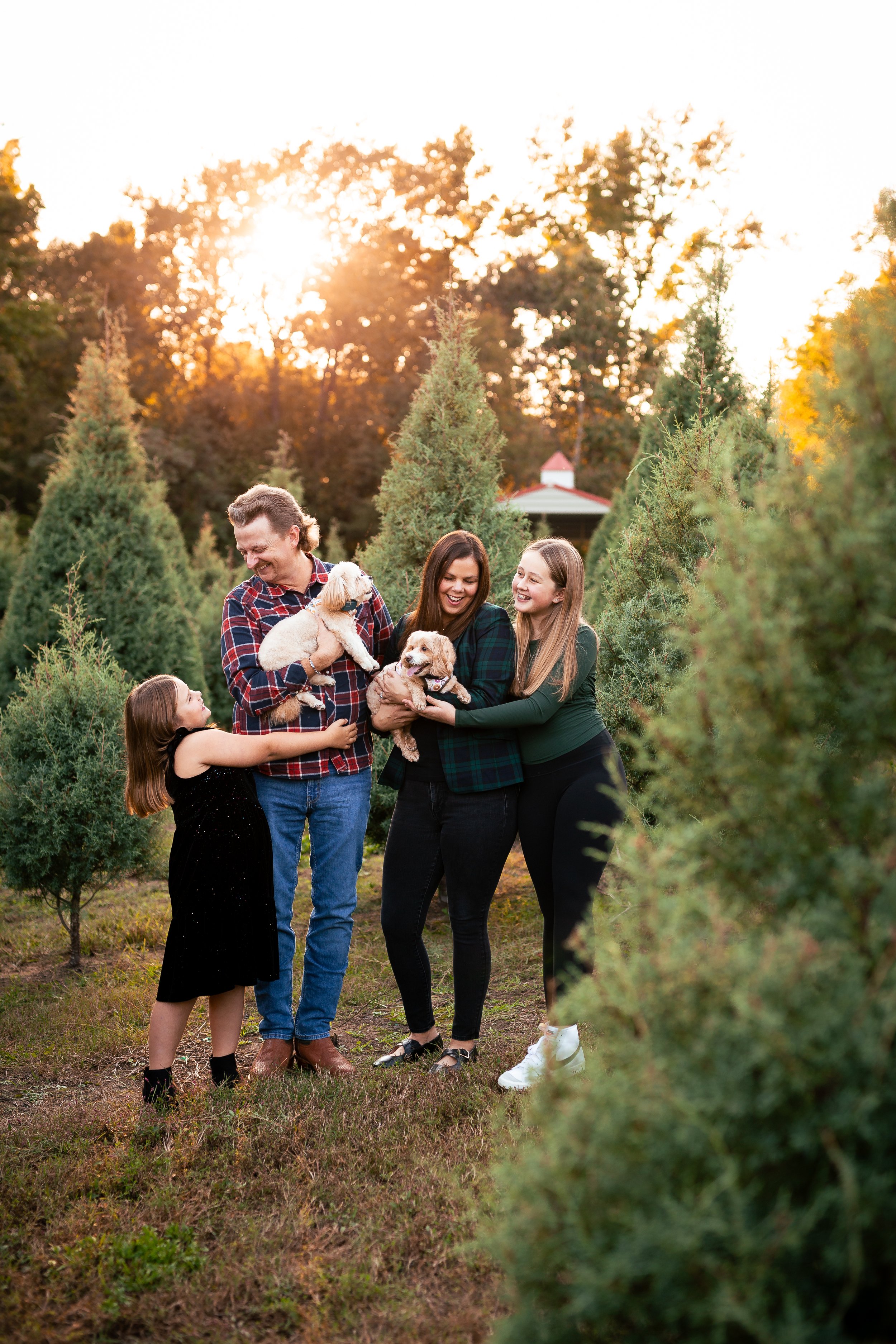 Tree Farm_Huffman-28.jpg