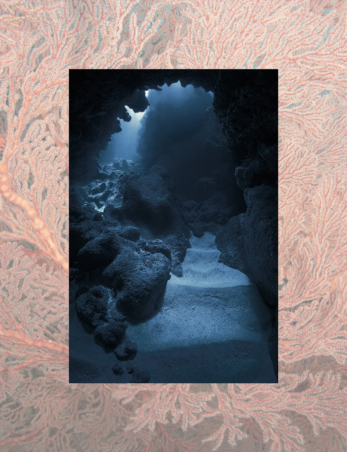 Dew Betrays a Spider's Web, 2019. Archival inkjet print on Dibond, 26" x 20".