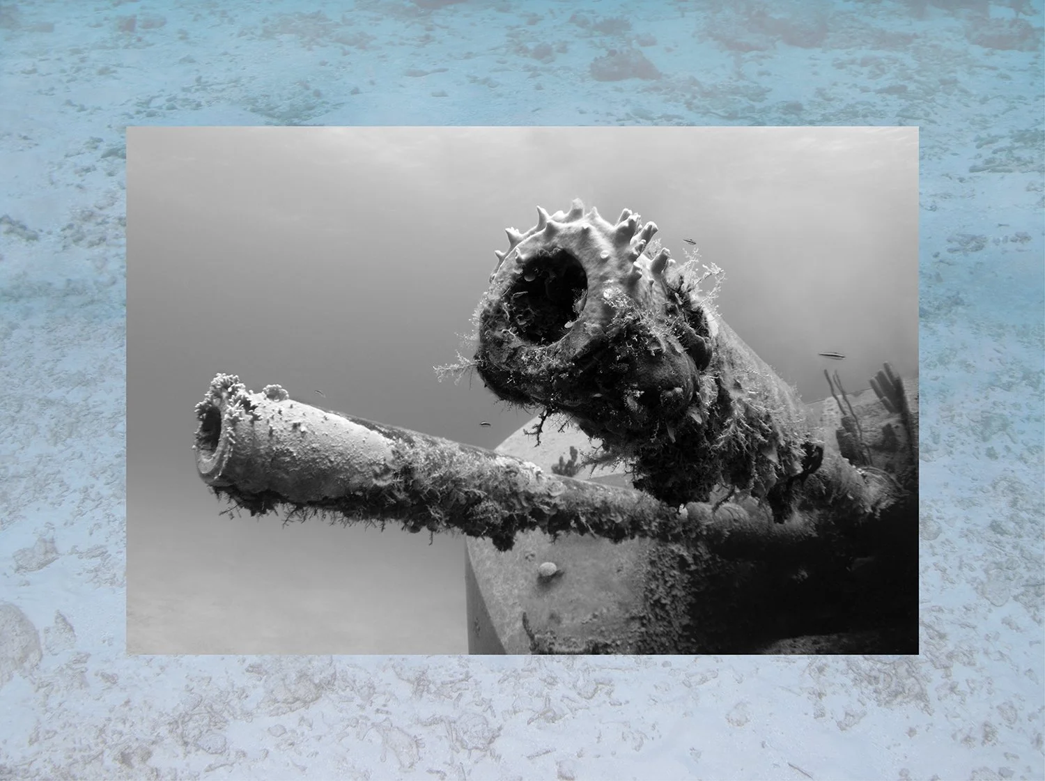 Bellowing at Ancient Megafauna, 2019. Archival inkjet print, 24" x 32"