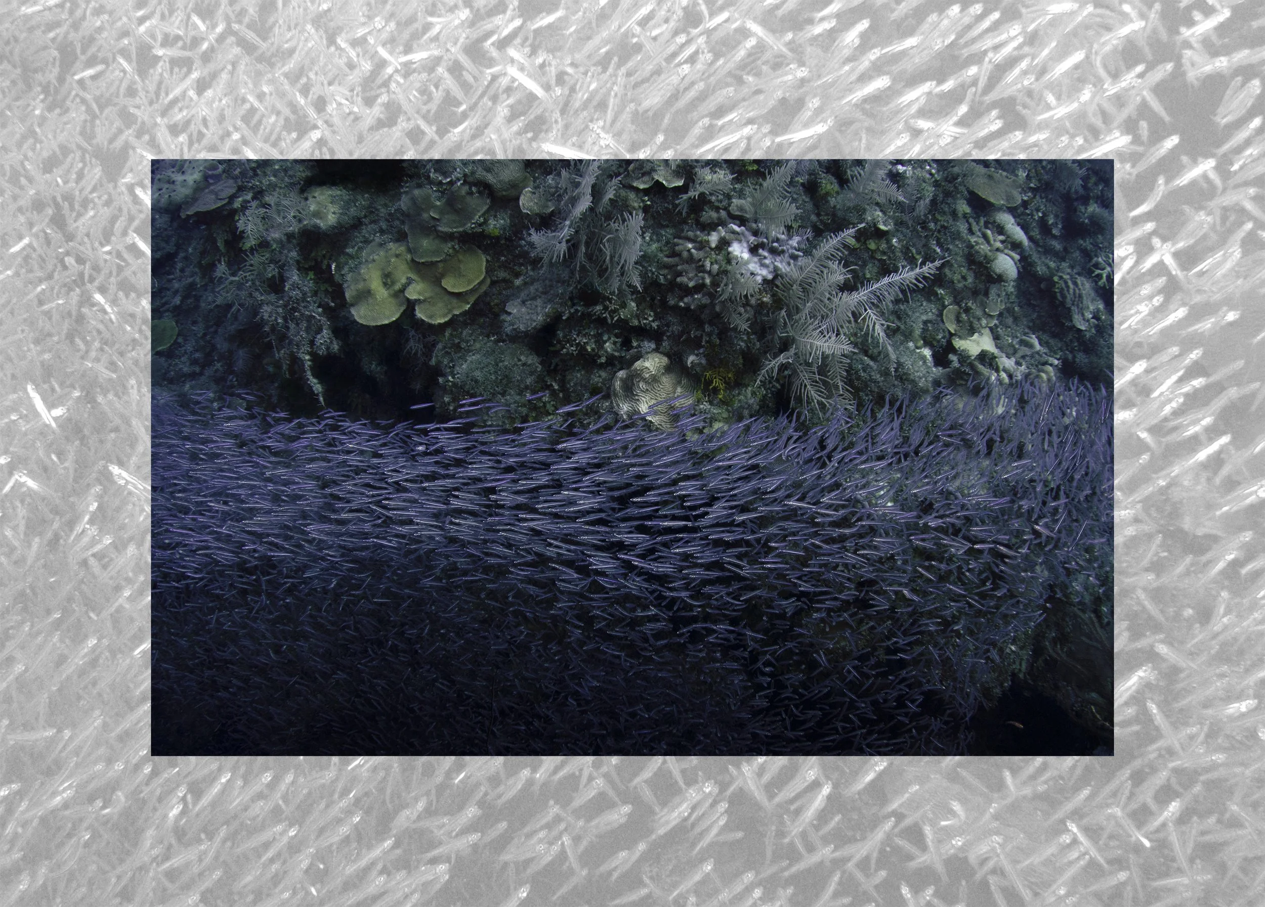 Time's Winged Chariot, 2019. Inkjet print, 22mm Charmeuse Silk hung on aluminum plank. 36" x 54"