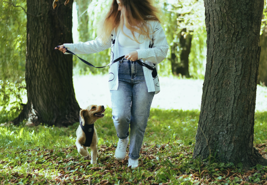 Woman walking dog off leash in park