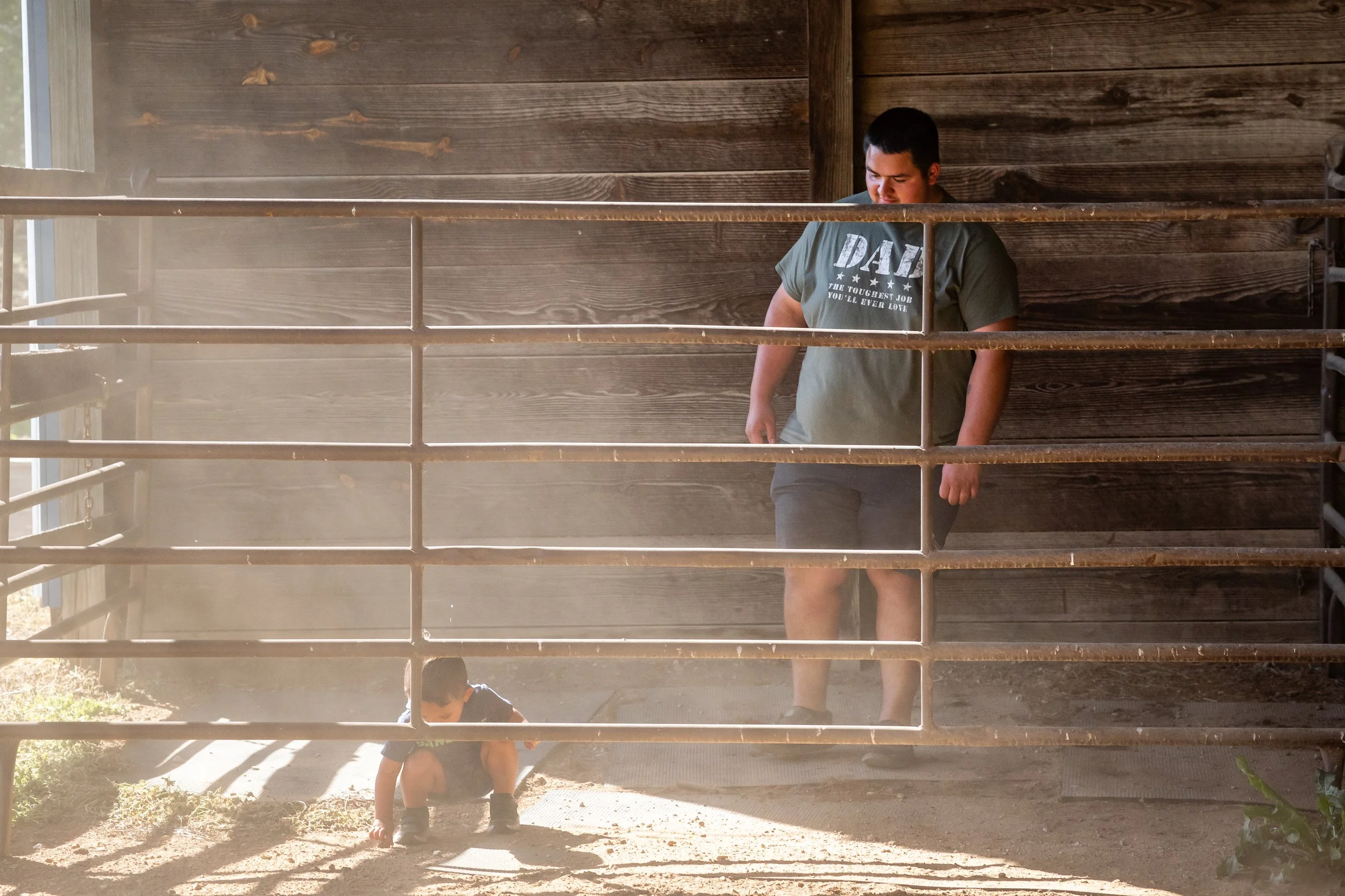 Barn Life 