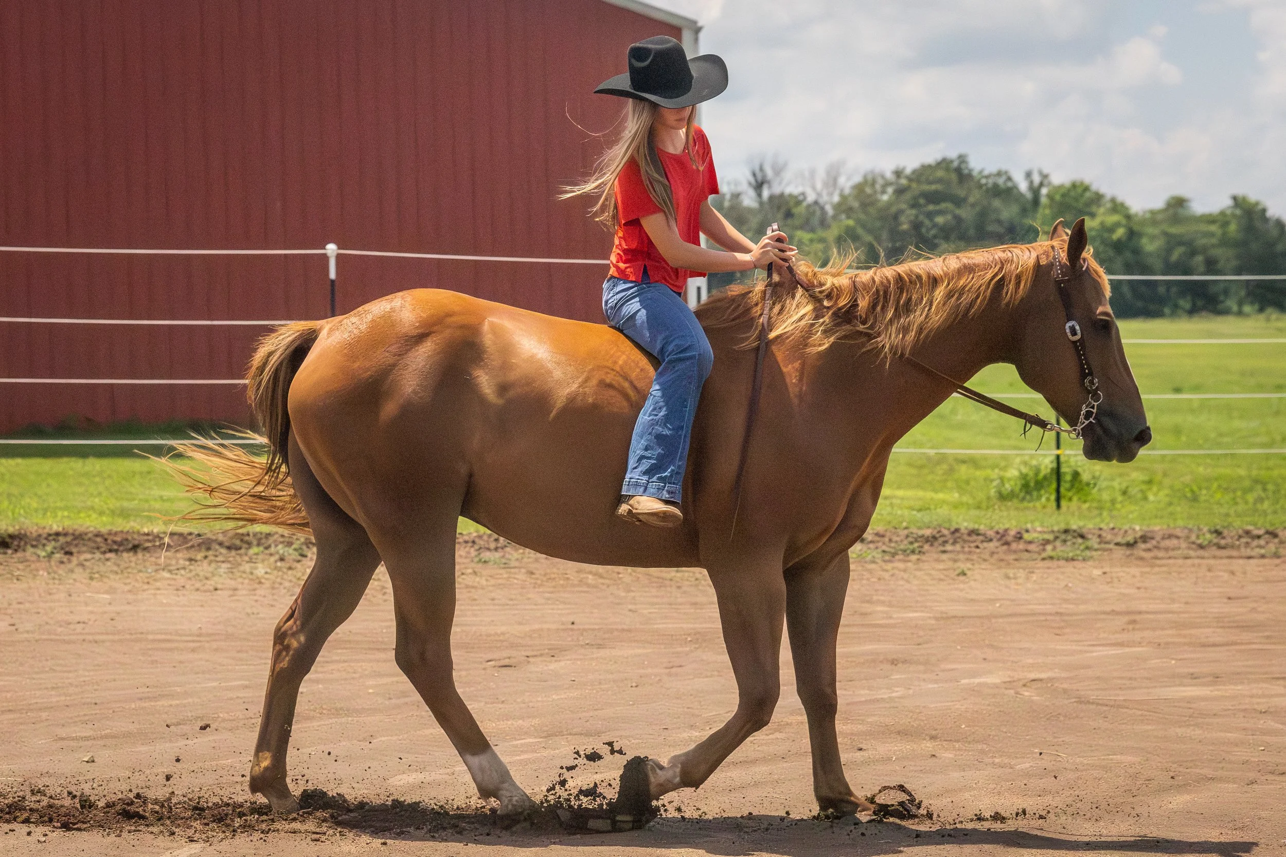 A girl riding a brown horse on a dirt field, wearing a large black hat, red shirt, and blue jeans.
