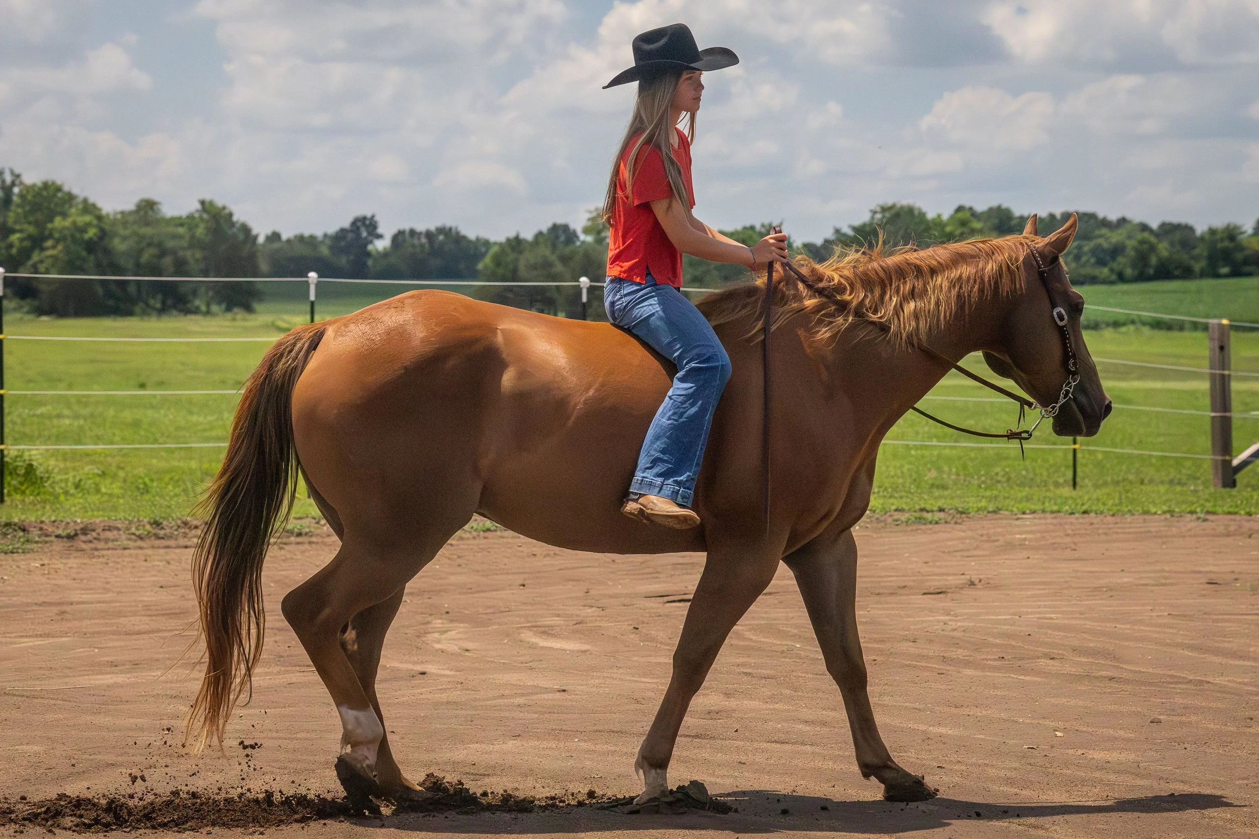 A woman wearing a black cowboy hat, red shirt, and blue jeans riding a brown horse in an outdoor riding arena with a fence and green field and trees in the background under a partly cloudy sky.