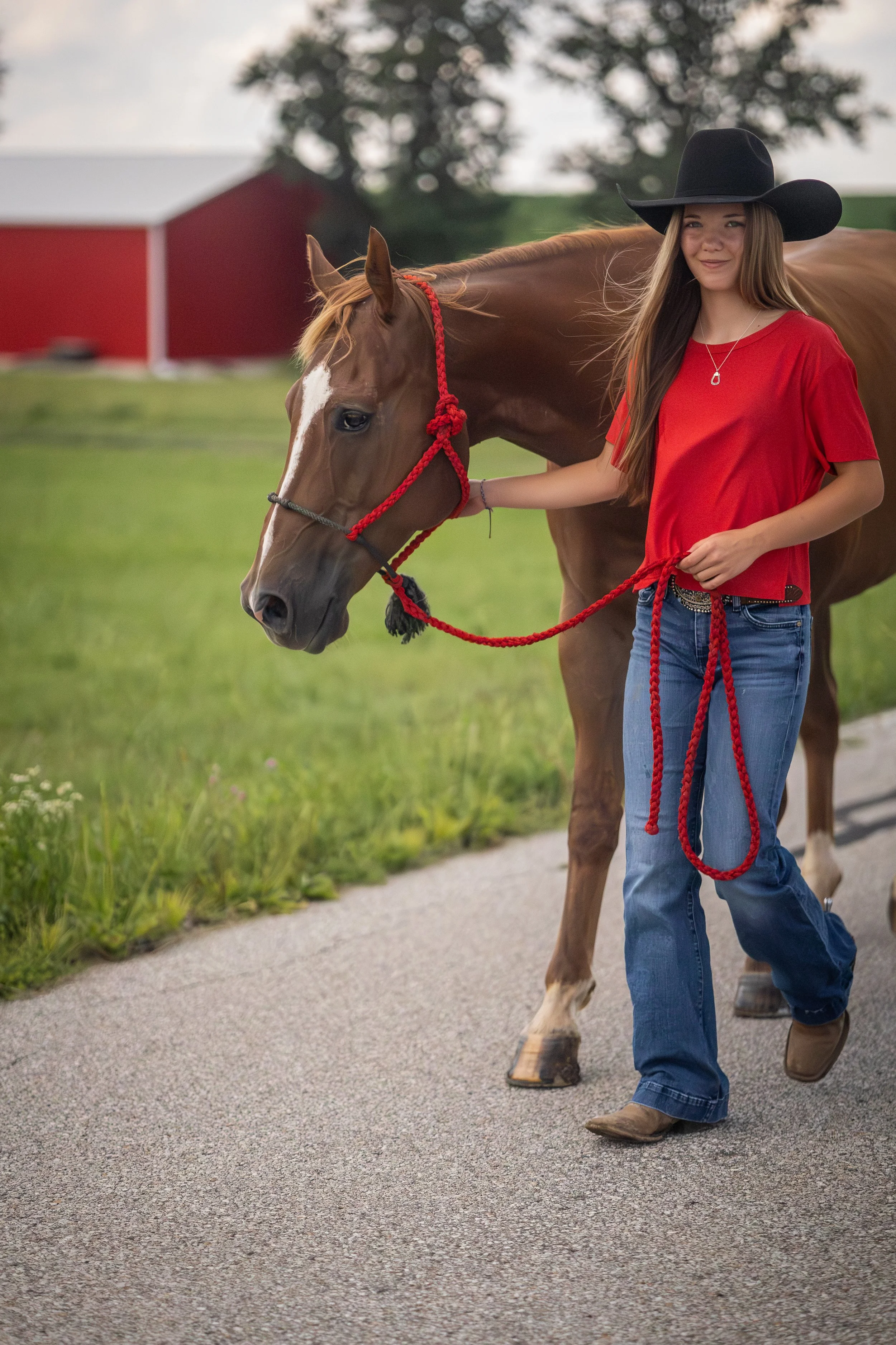 A young woman wearing a black cowboy hat, red shirt, blue jeans, and cowboy boots leading a brown horse with white markings on its face along a gravel path in a rural setting with a red barn and trees in the background.