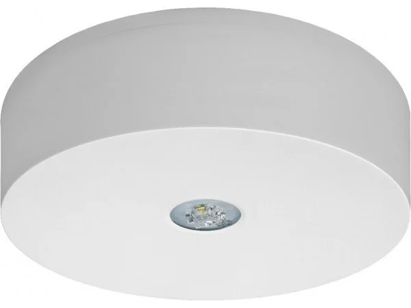 Surface emergency ceiling light fixture with a LED