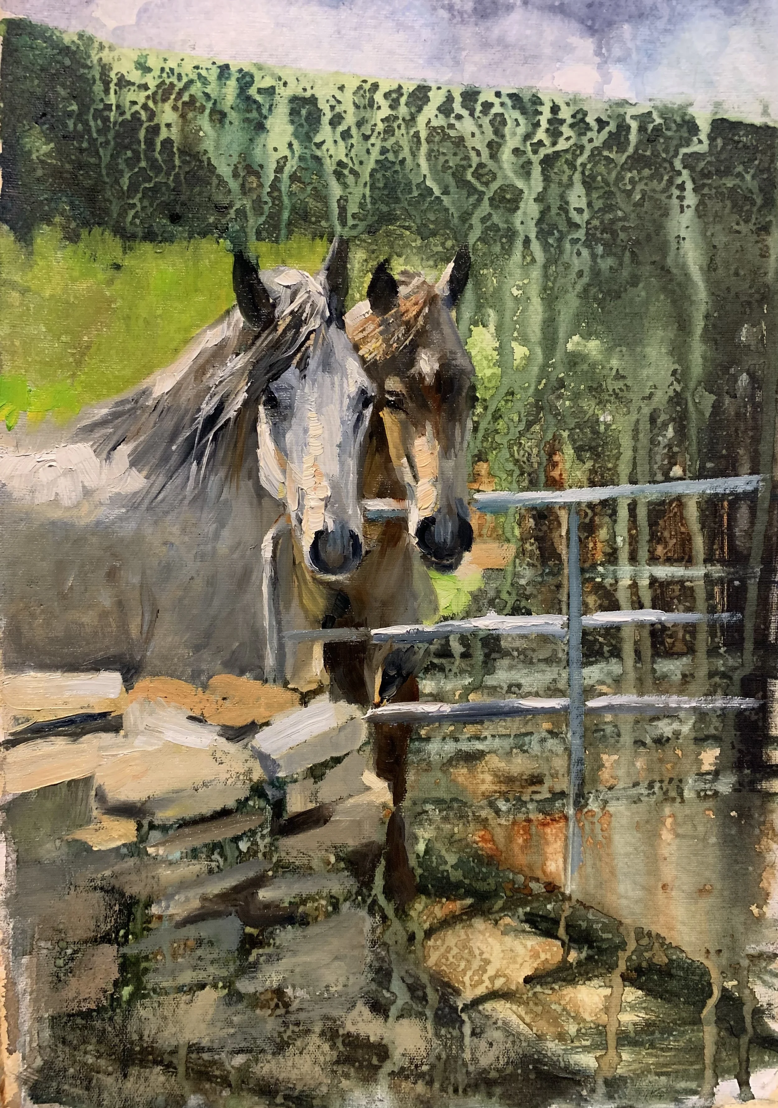 Doolin Duo   Watercolour and Oil              These two guys have found a new stables at Reilly's Antiques, Art Gallery, Available for purchase 