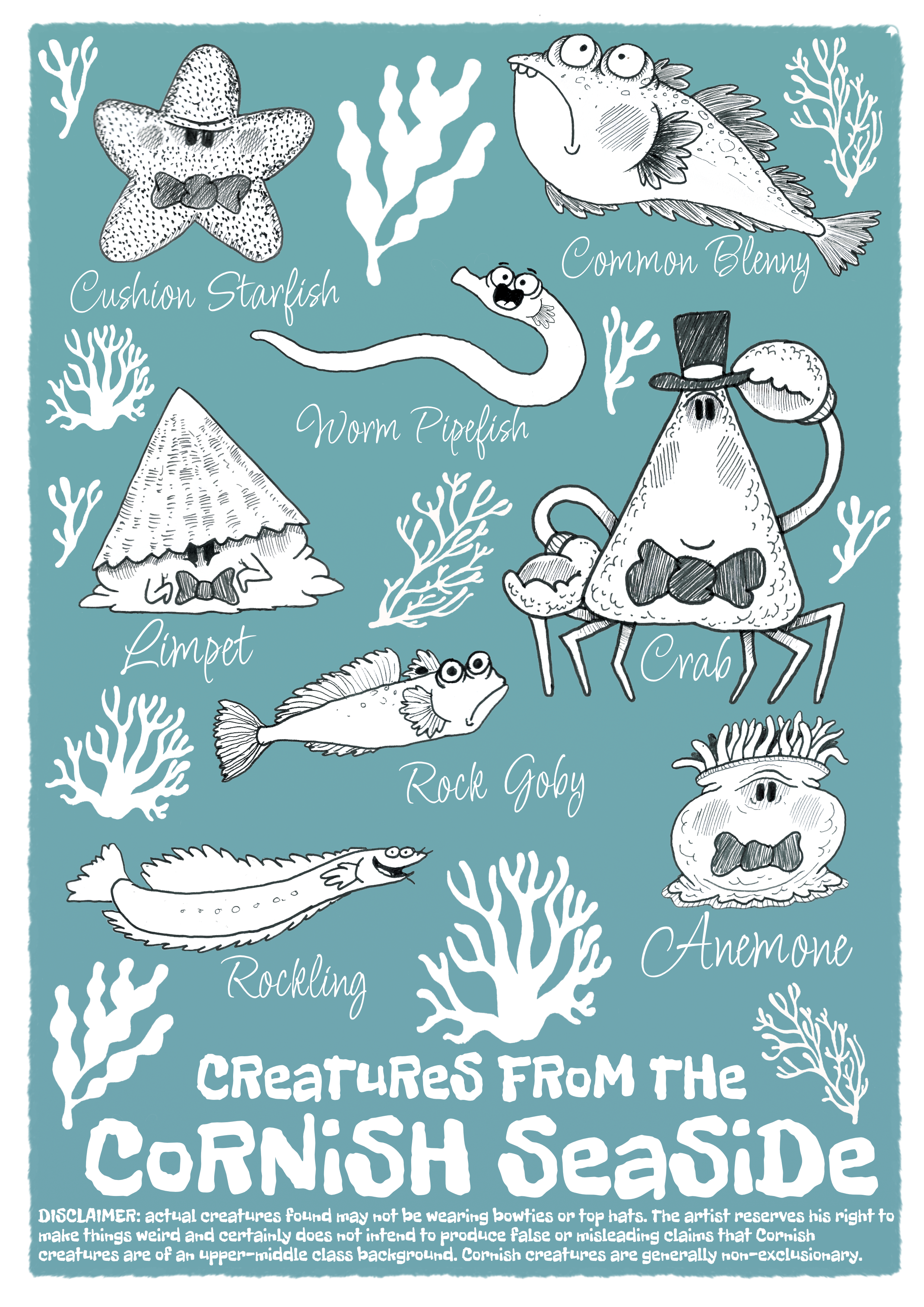 Illustration of various fictional creatures from the Cornish seaside, including a Cushion Starfish, Common Blenny, Worm Pipefish, Limpet, Rock Goby, Crab, and Anemone, with decorative coral and seaweed elements, and playful fonts.