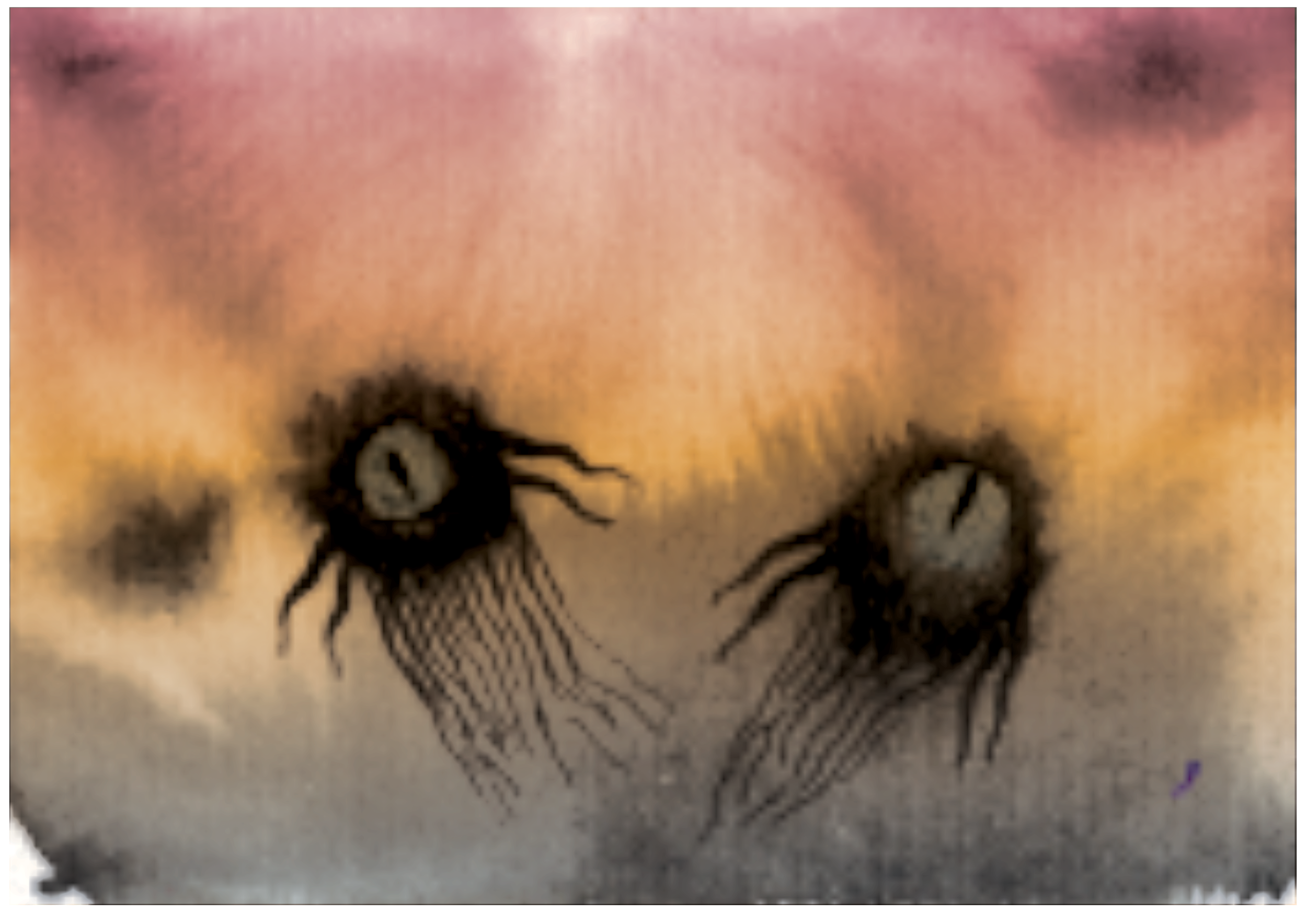 Two Creep flying creatures set against a strange mystical sunset