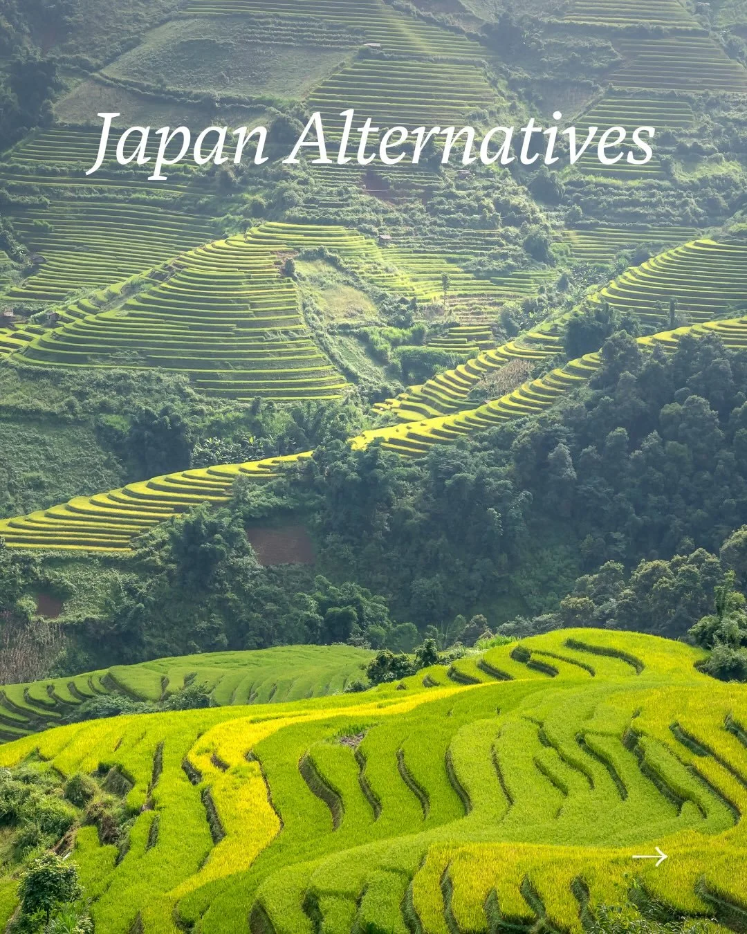 4 Asia destinations you may not have thought about as we head into 2026. 

Japan is incredible. I love booking my clients to Japan but what about South Korea, Vietnam, Bhutan or China? And I didn&rsquo;t even mention Singapore, Hong Kong or Thailand 