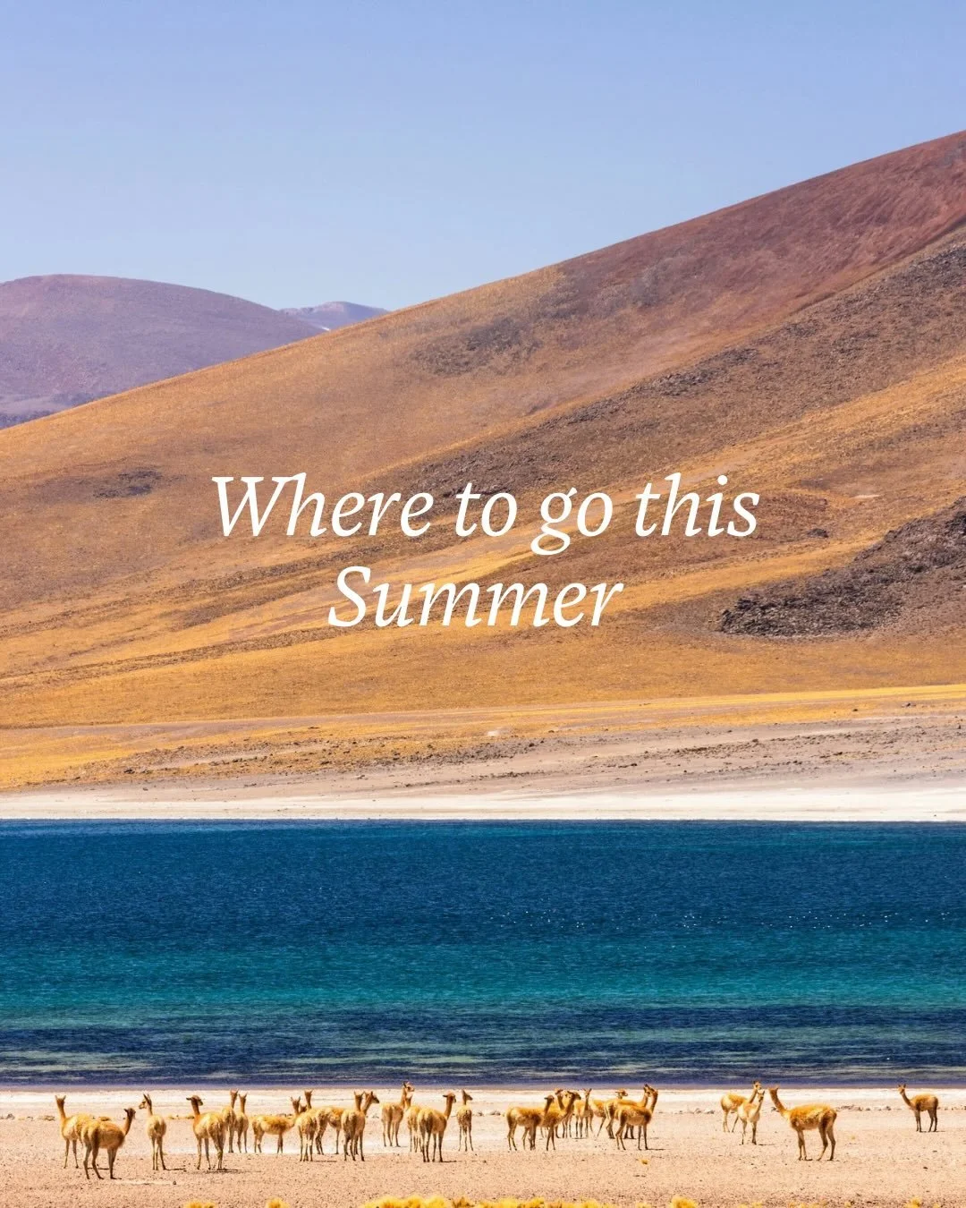 Think it's too late to plan a summer trip? It's not. Summer is right around the corner, but the best vacations don't always take months to plan &mdash; they just take the right person planning them.

Let me turn your 'I wish' into 'I can't believe we