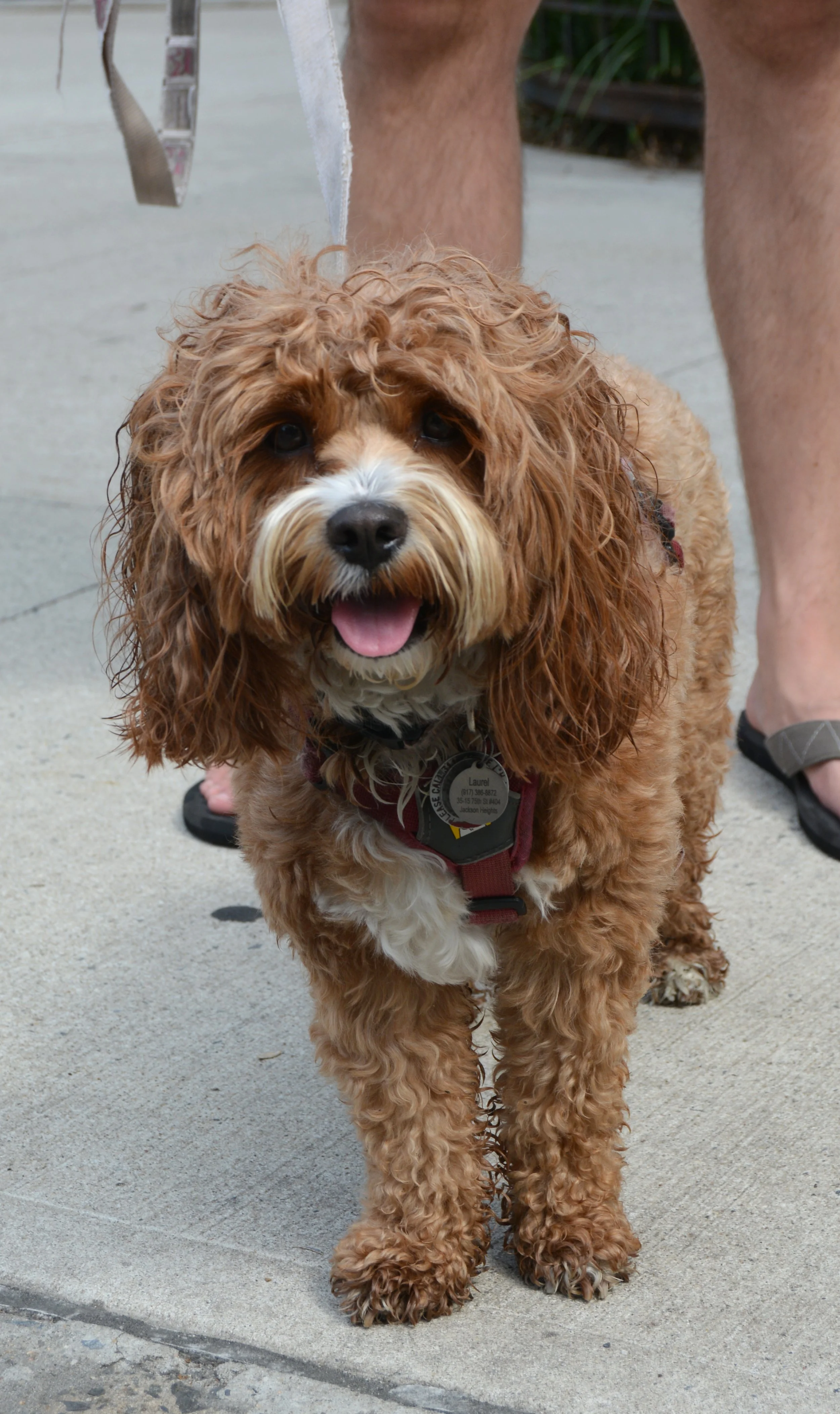 Copy of DSC_0285.JPG