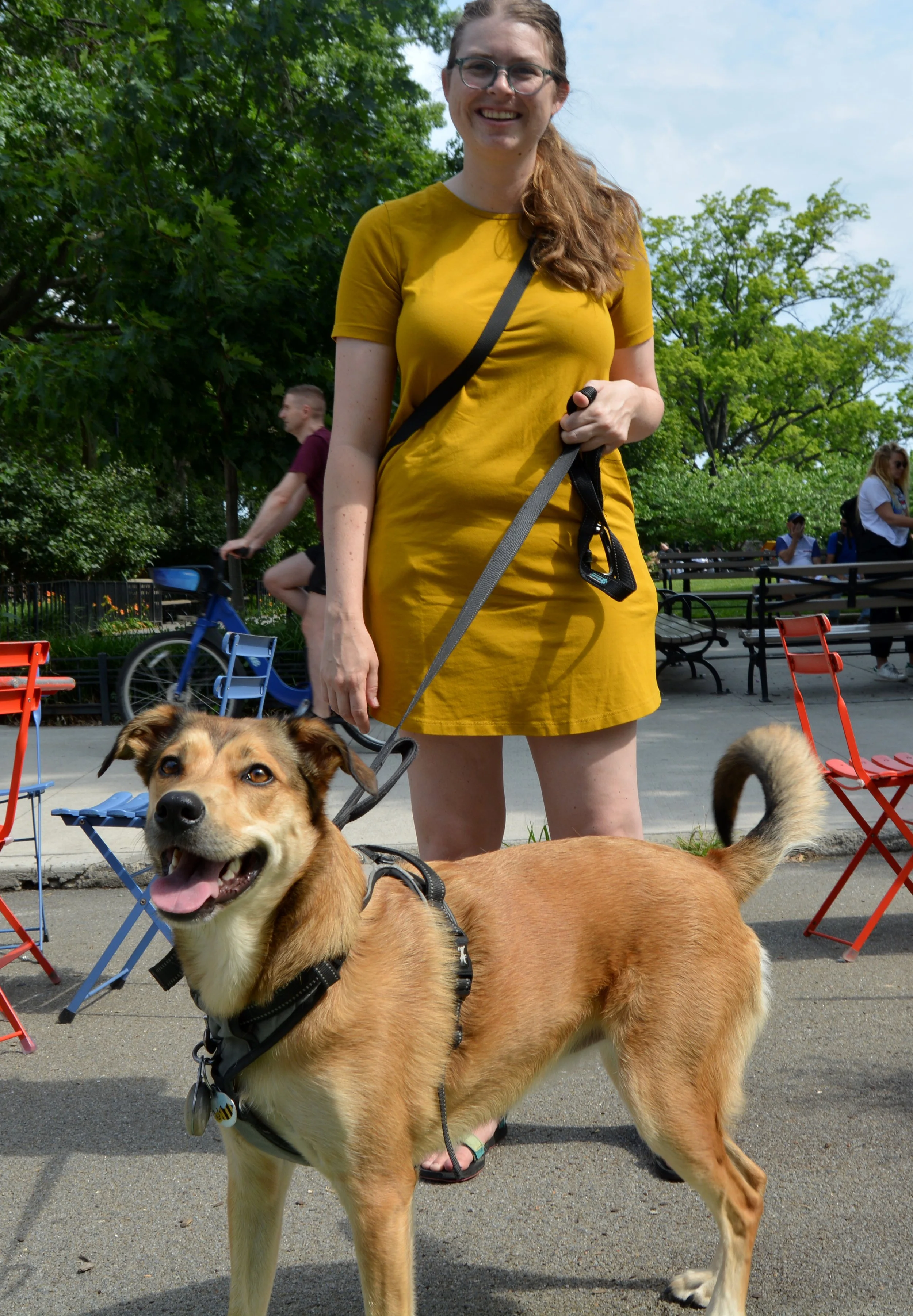 Copy of DSC_0243.JPG