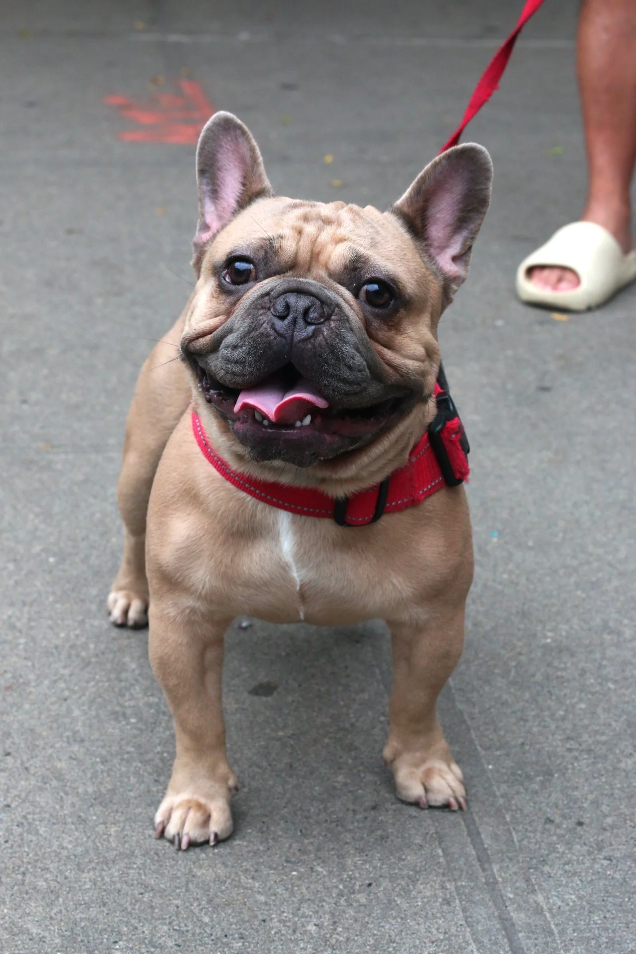 Copy of IMG_2660.JPG